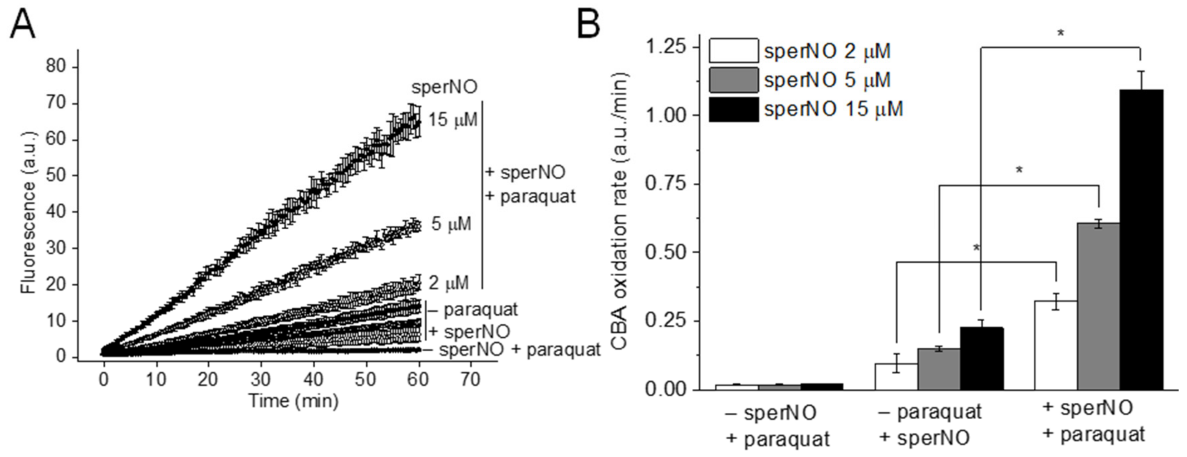 Biomolecules 11 01331 g002 550
