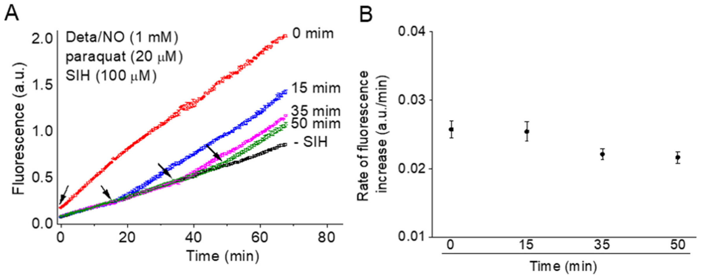 Biomolecules 11 01331 g005 550