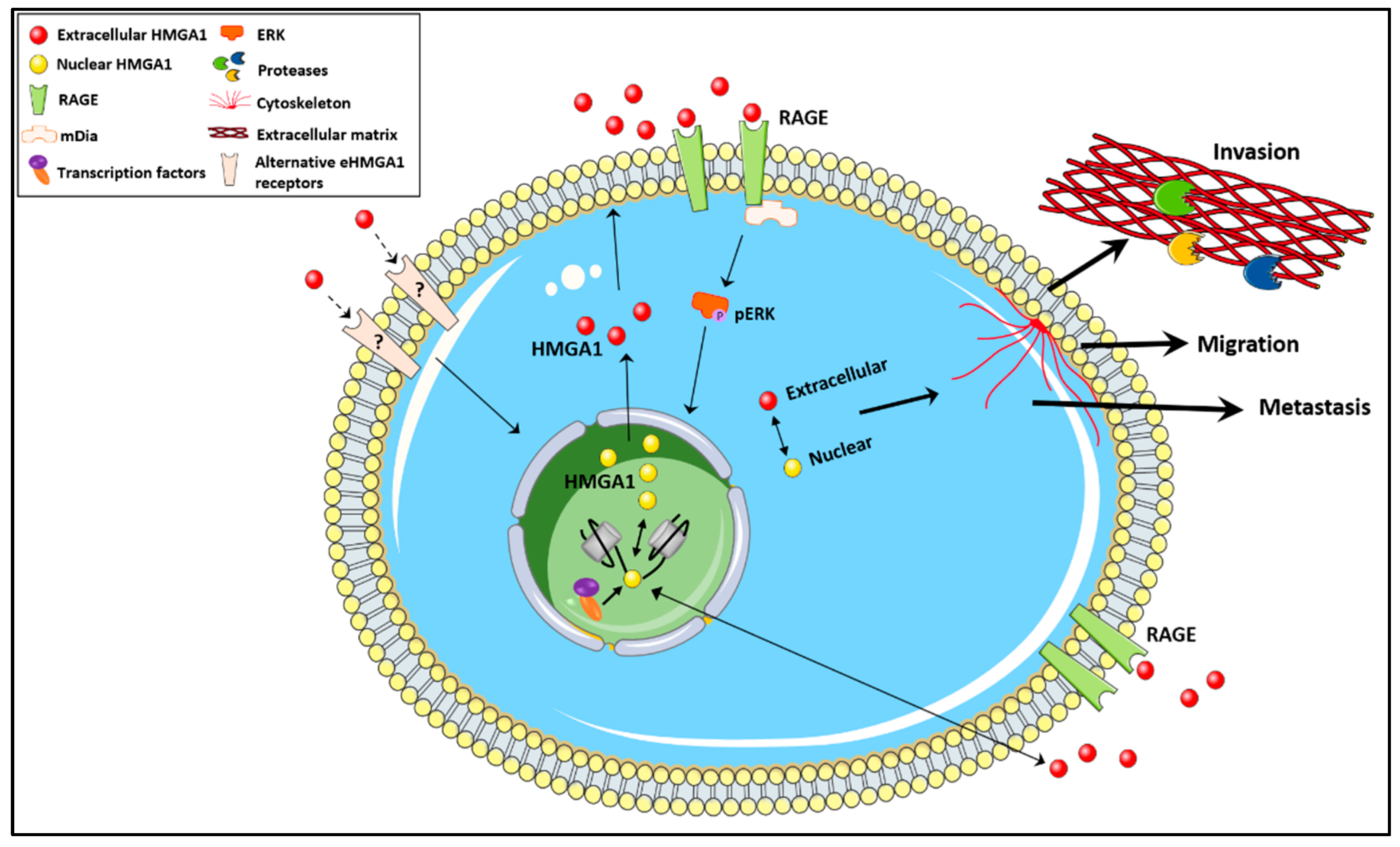 Biomolecules 11 01334 g002
