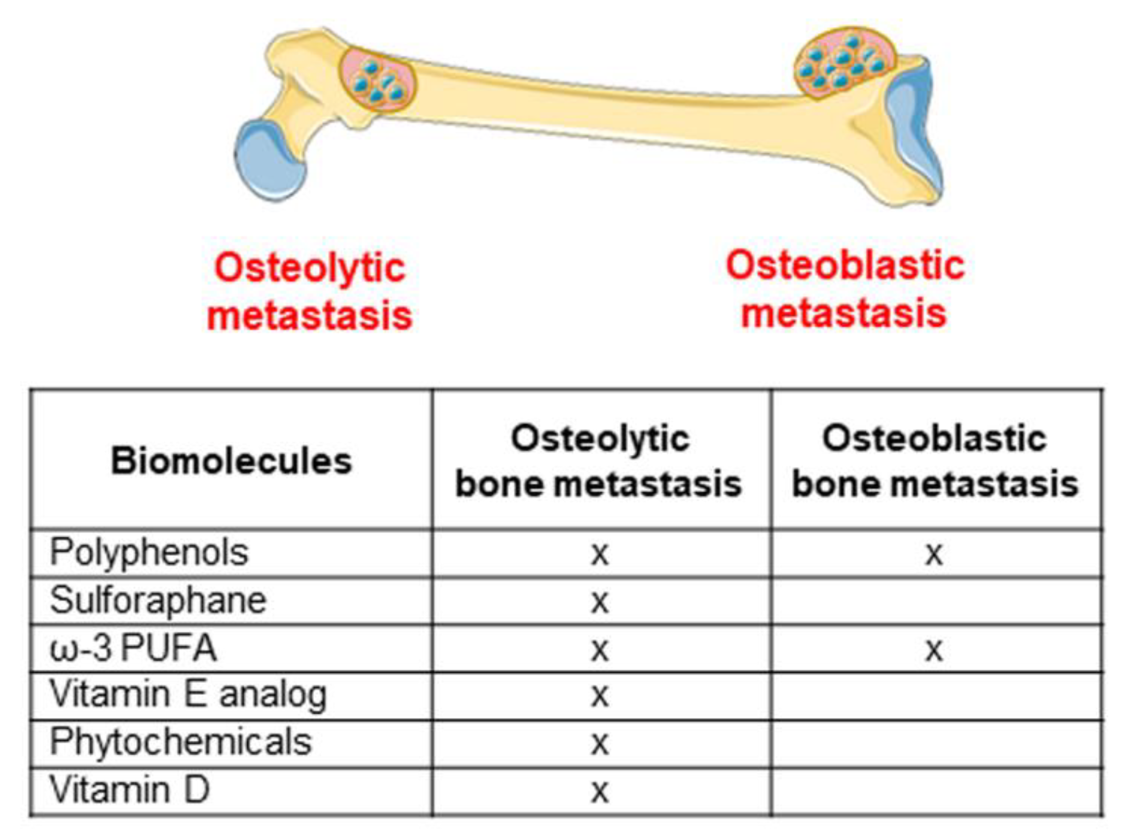 Biomolecules 11 01336 g002
