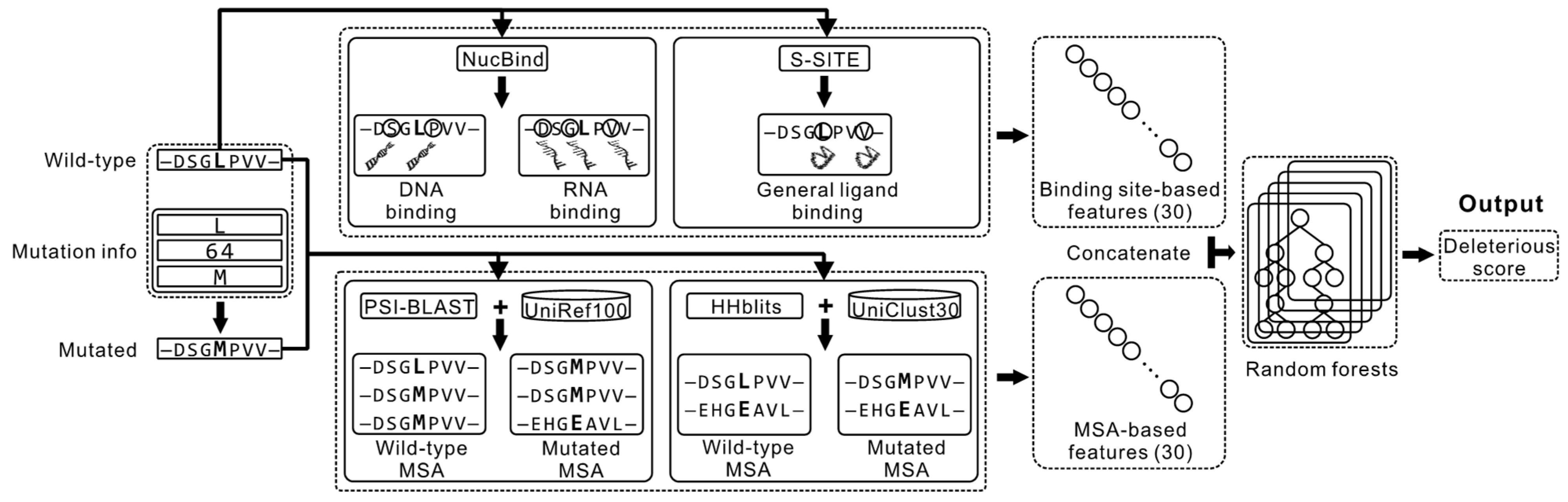 Biomolecules 11 01337 g001 Biomolecules 11 01337 g001
