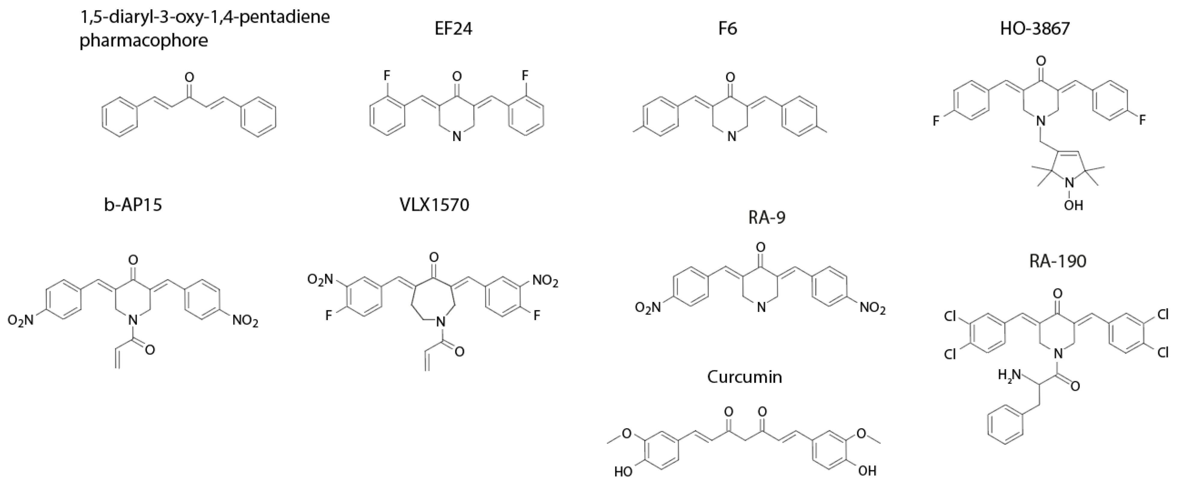Biomolecules 11 01339 g001 Biomolecules 11 01339 g001