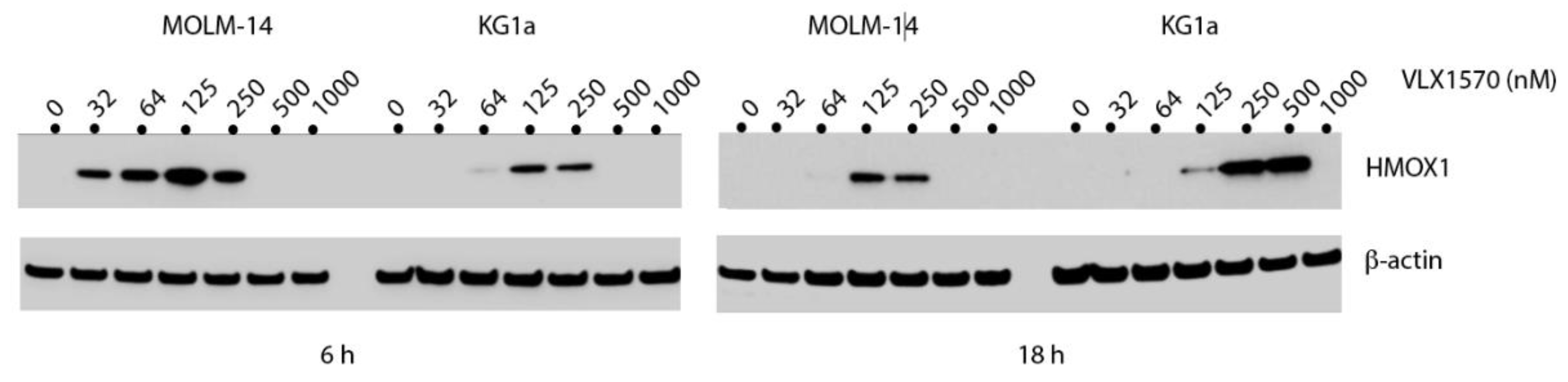 Biomolecules 11 01339 g004 Biomolecules 11 01339 g004