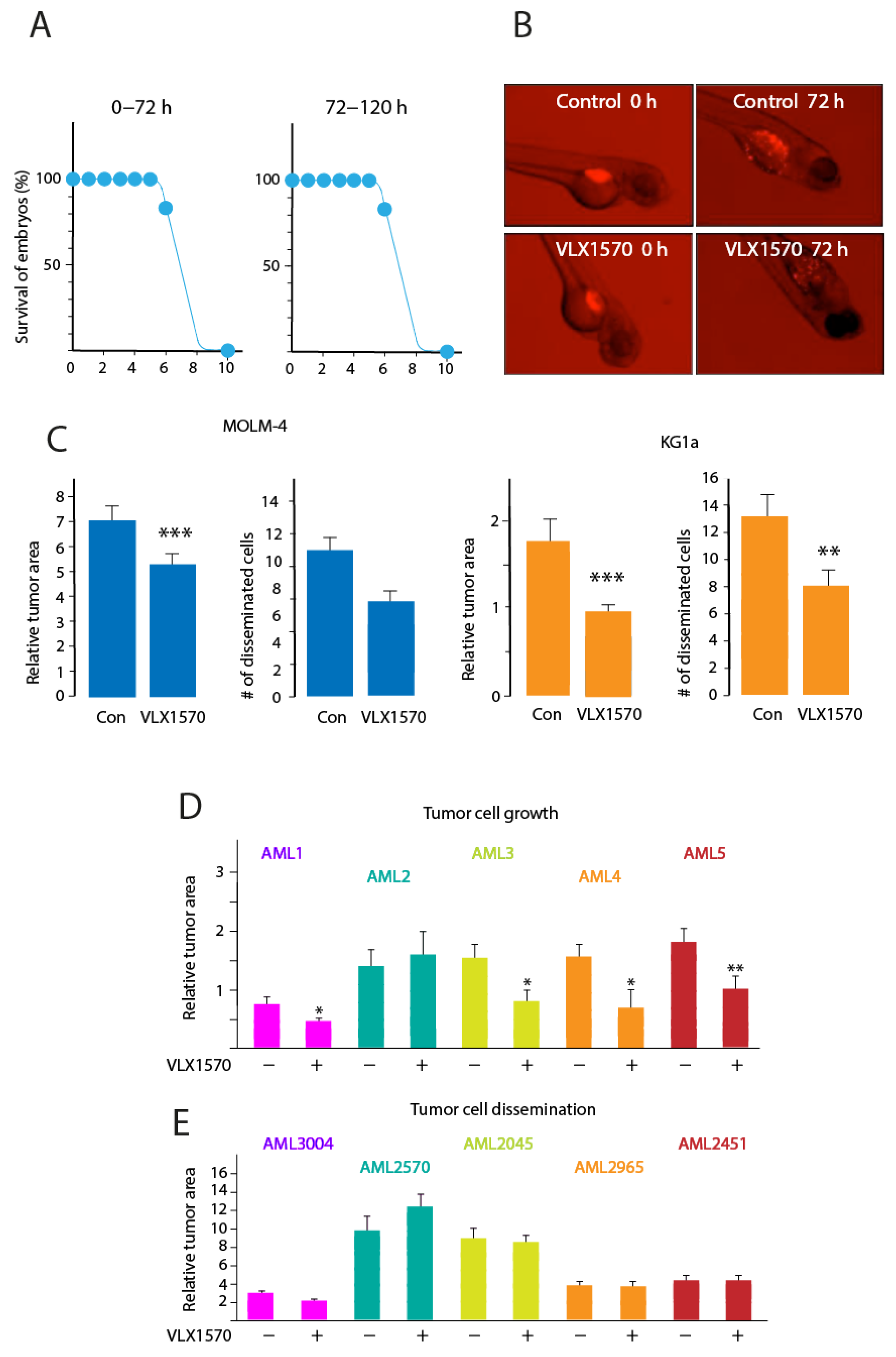Biomolecules 11 01339 g006 Biomolecules 11 01339 g006