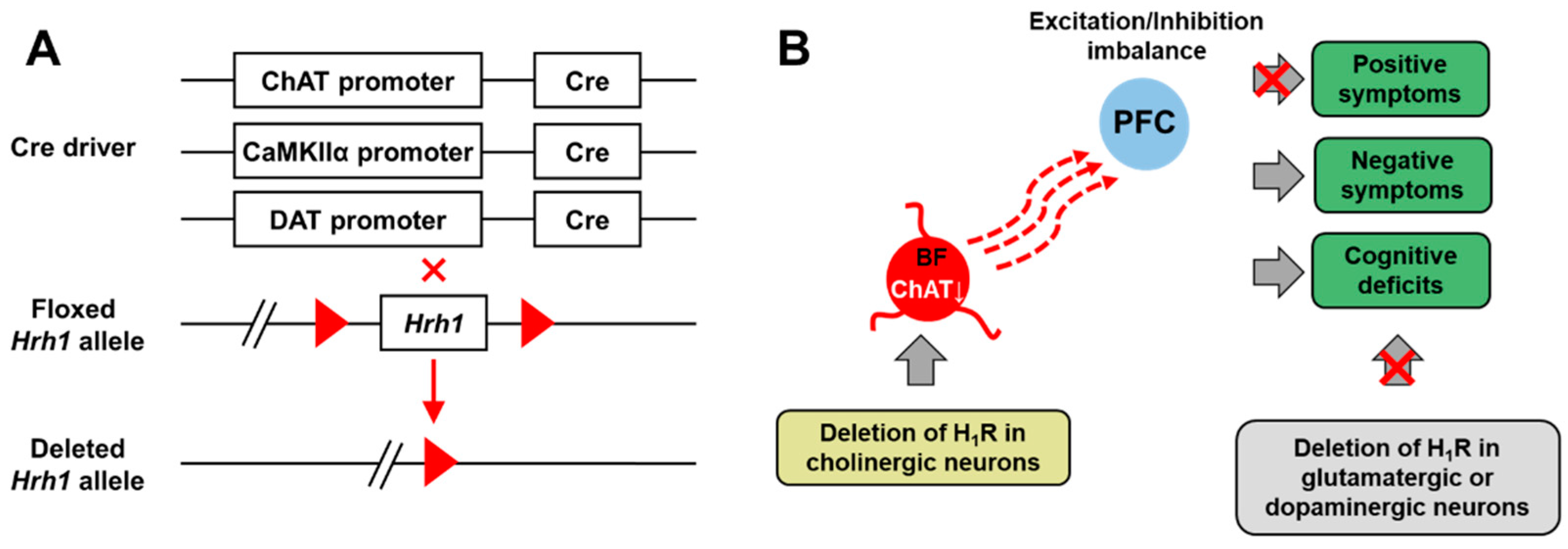 Biomolecules 11 01345 g002 Biomolecules 11 01345 g002