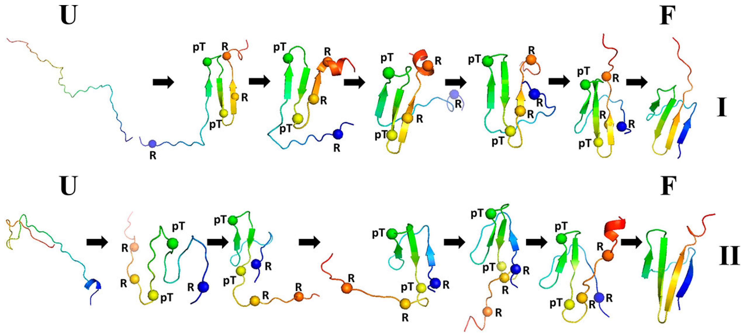 Biomolecules 11 01347 g006