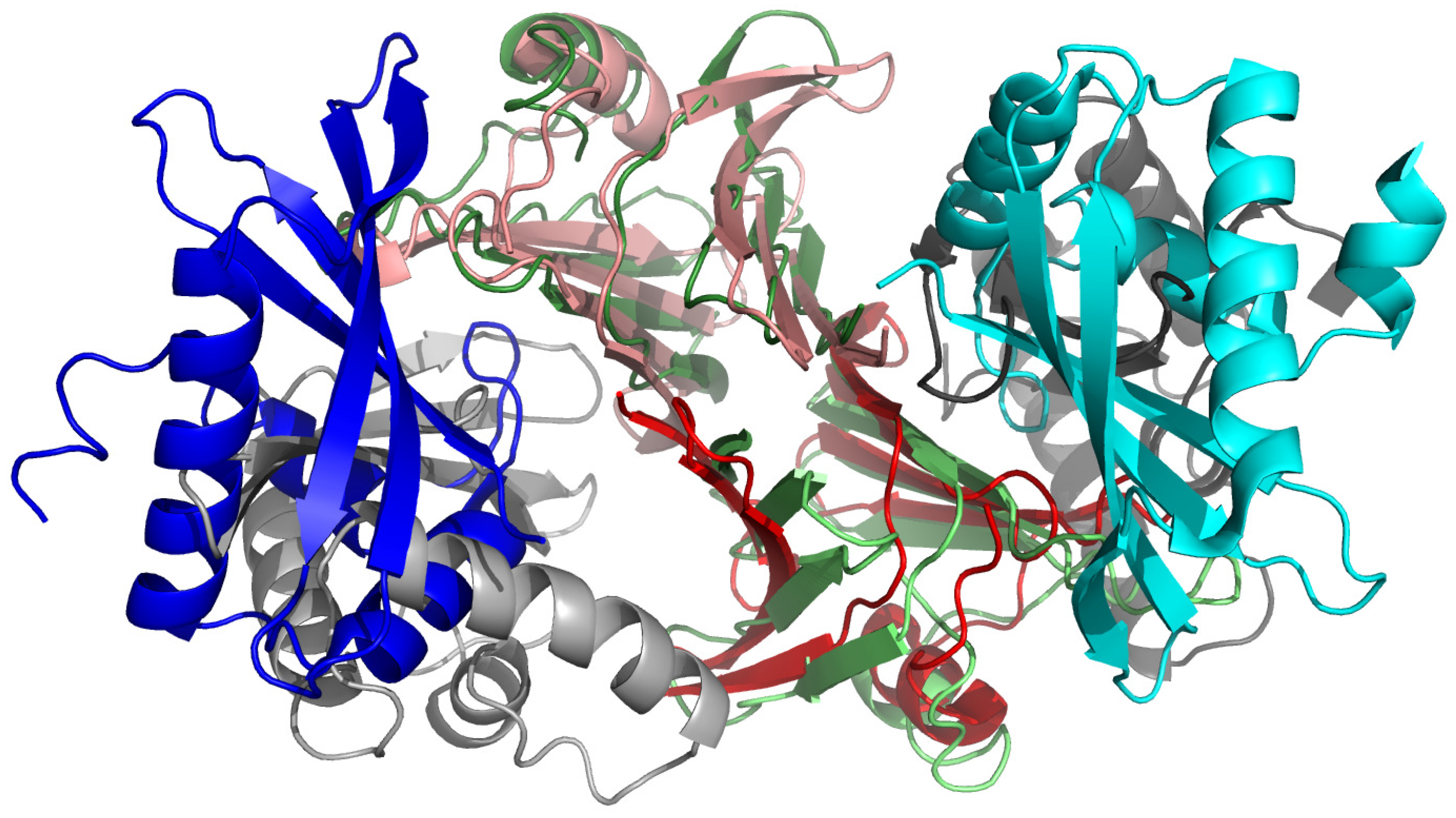 Biomolecules 11 01347 g007