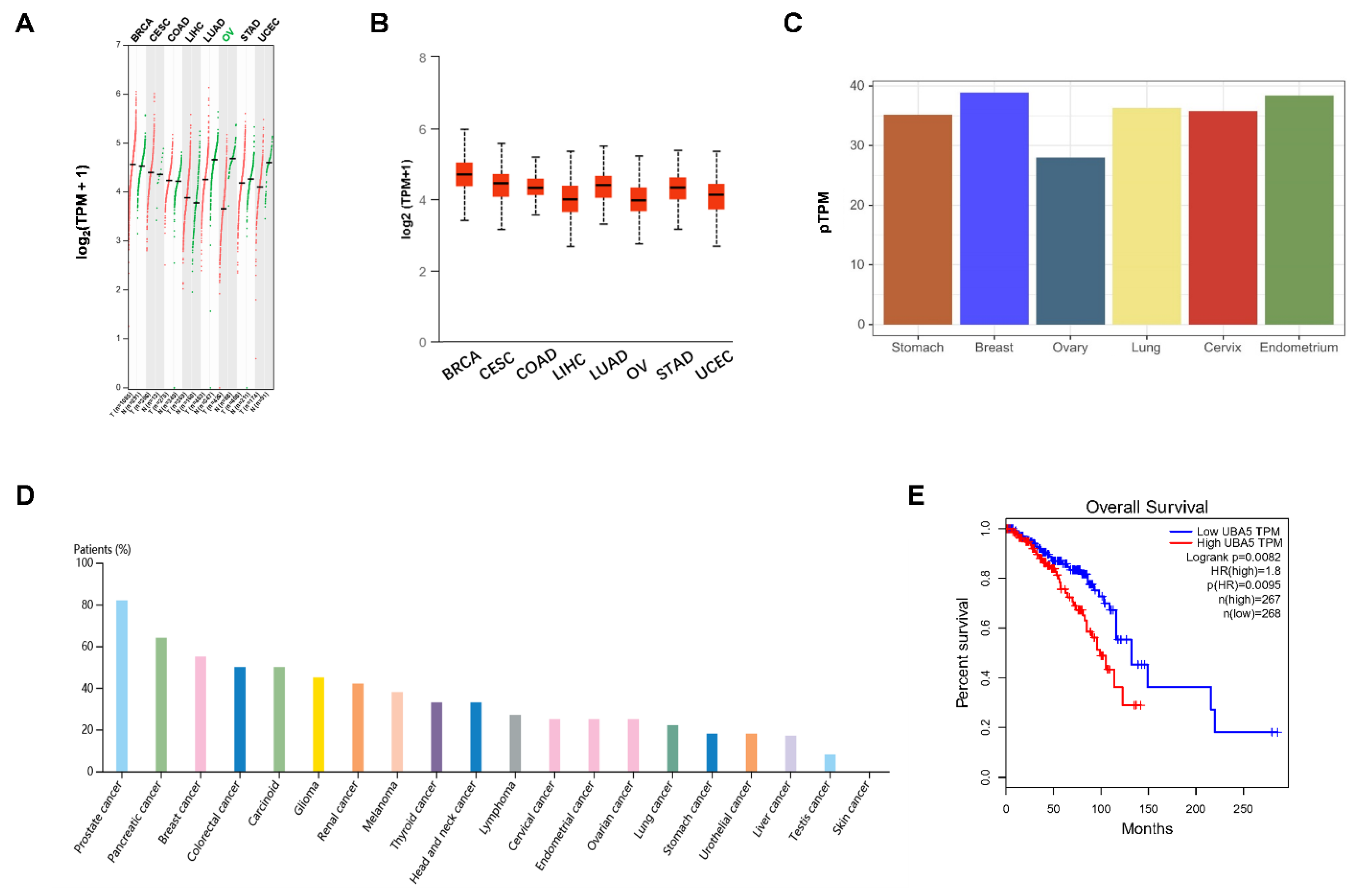 Biomolecules 11 01348 g001 Biomolecules 11 01348 g001