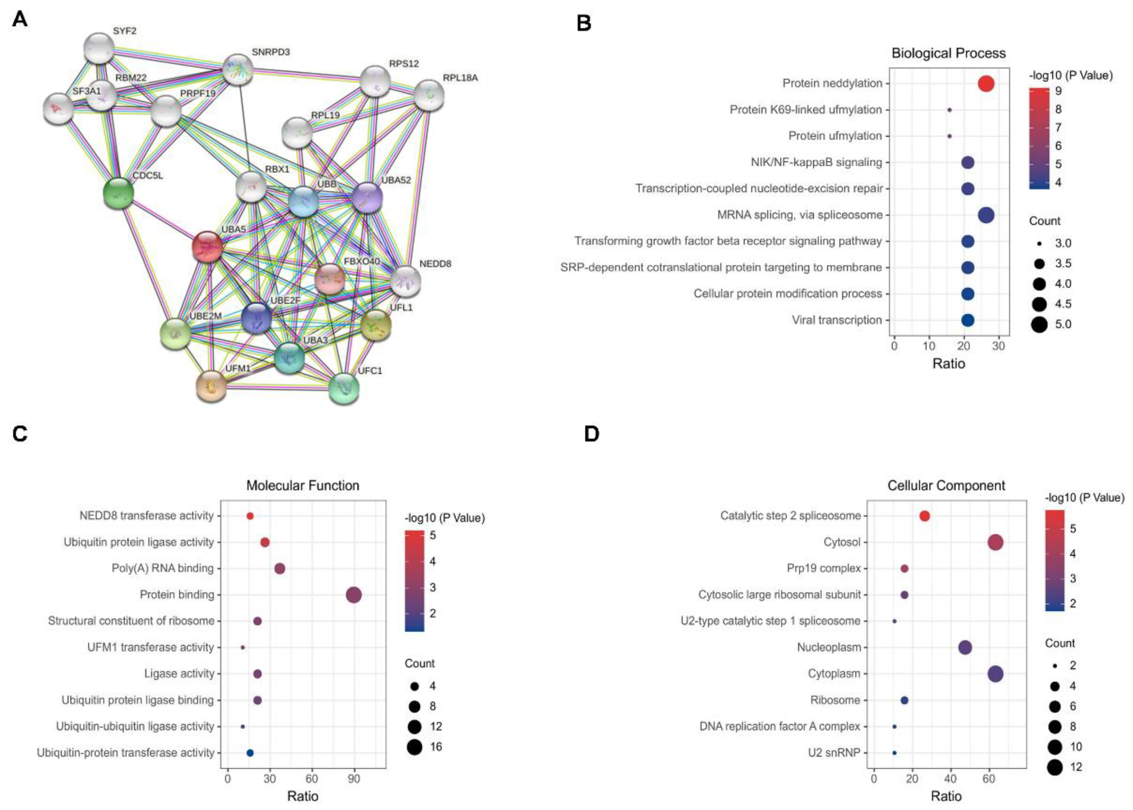 Biomolecules 11 01348 g002 Biomolecules 11 01348 g002