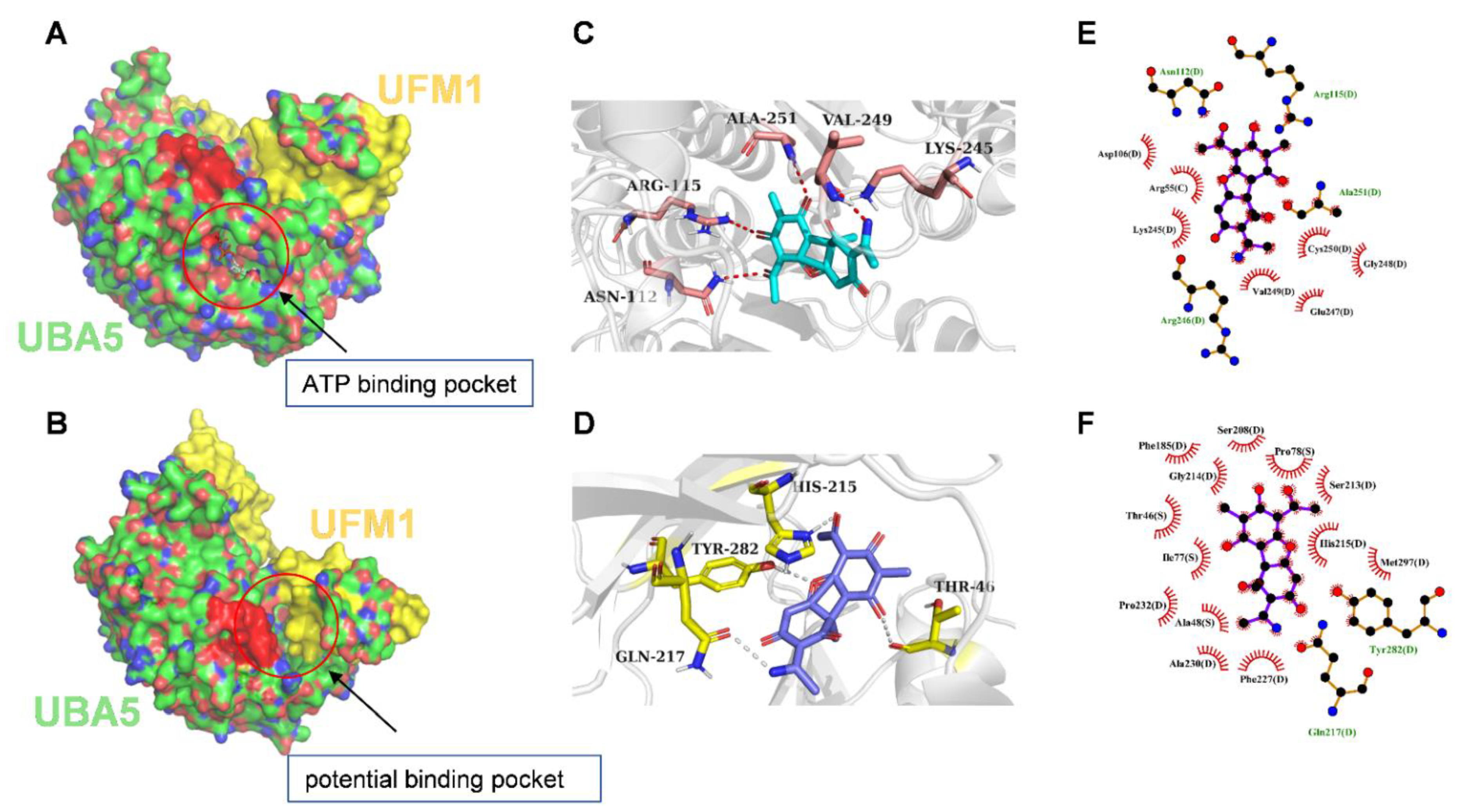 Biomolecules 11 01348 g007 Biomolecules 11 01348 g007