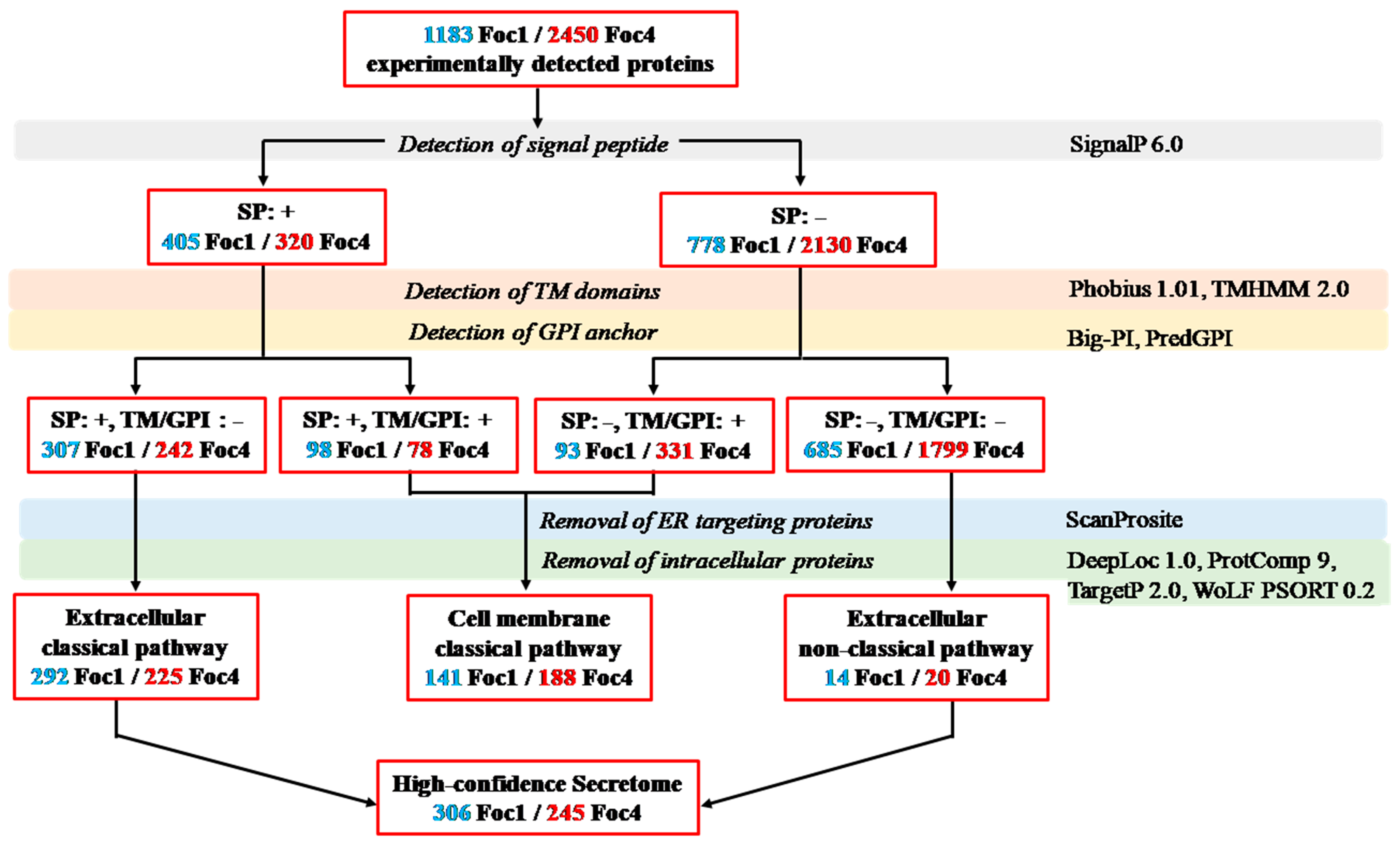 Biomolecules 11 01353 g001