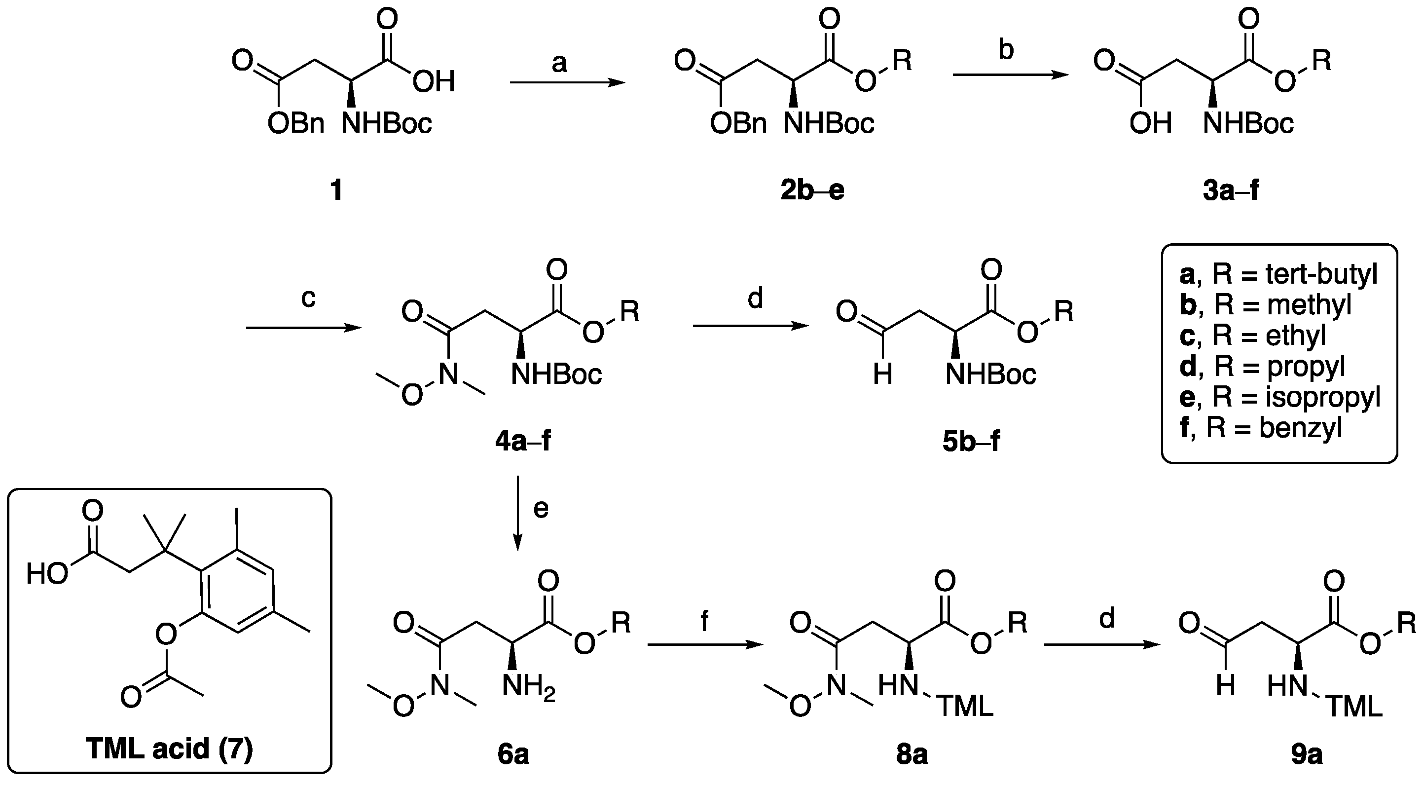 Biomolecules 11 01357 sch001