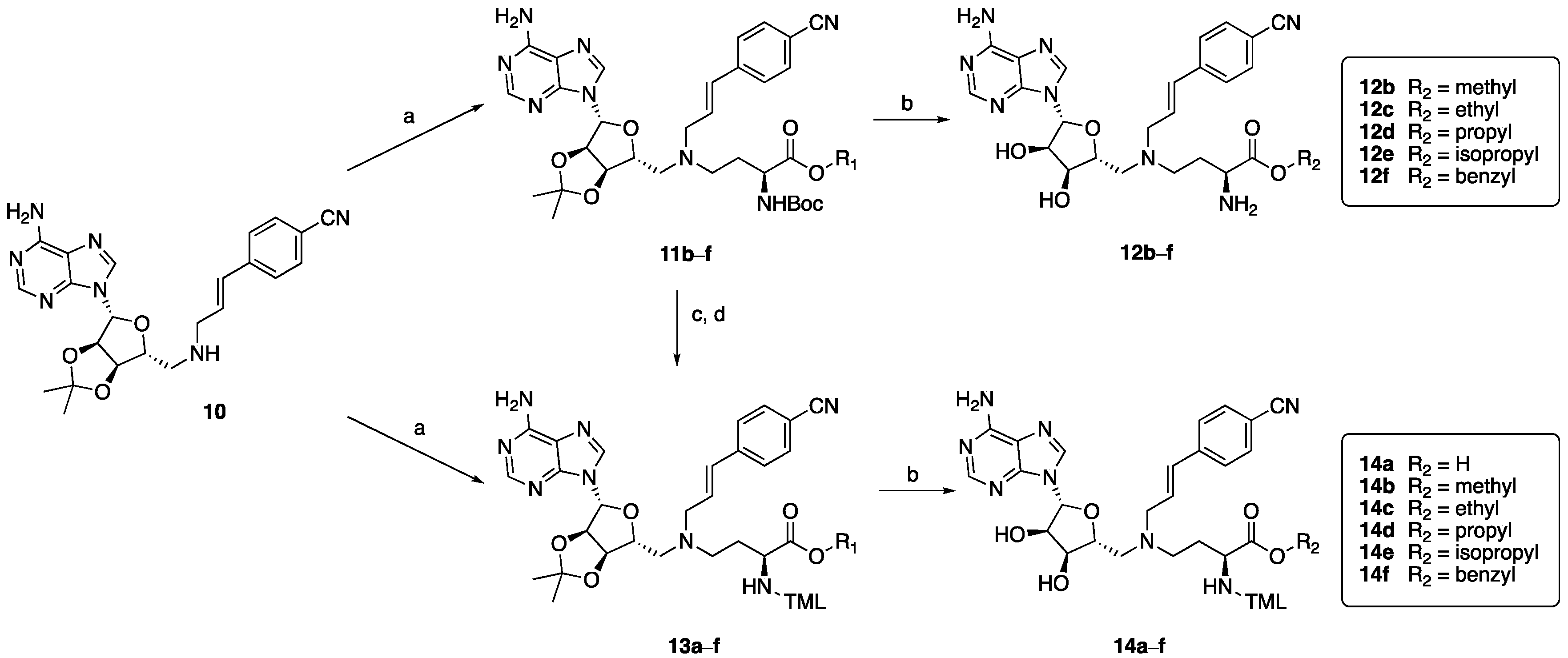 Biomolecules 11 01357 sch002