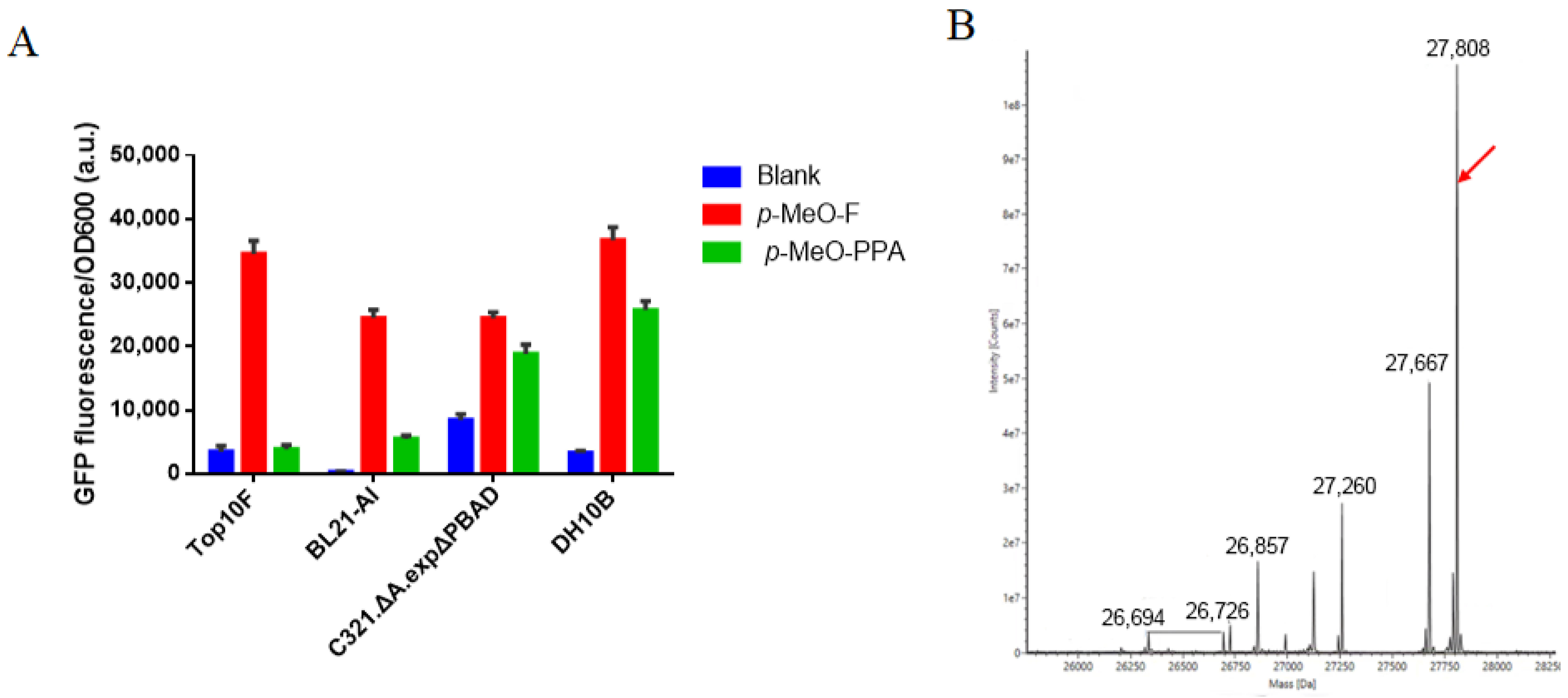 Biomolecules 11 01358 g002