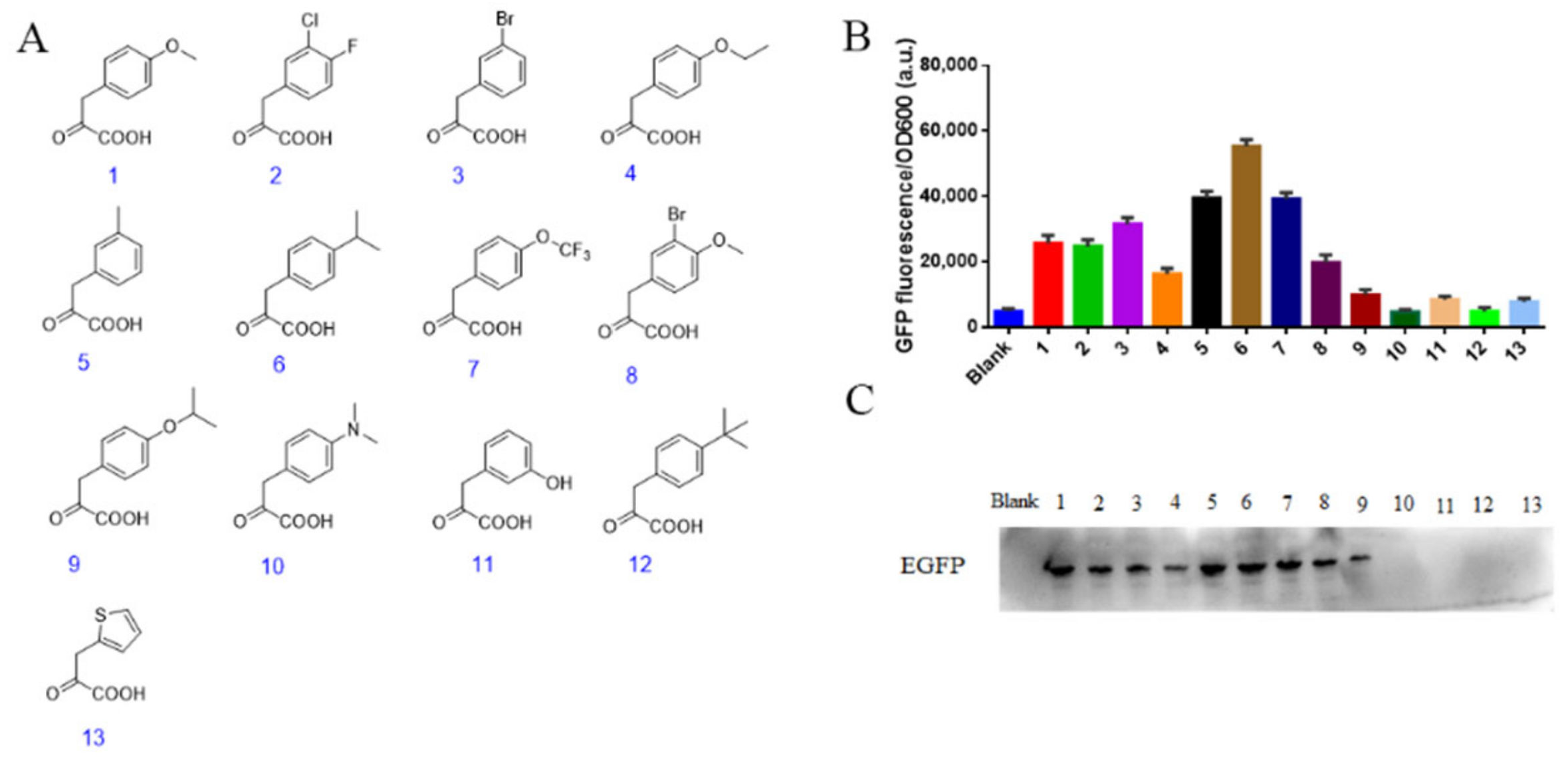 Biomolecules 11 01358 g004