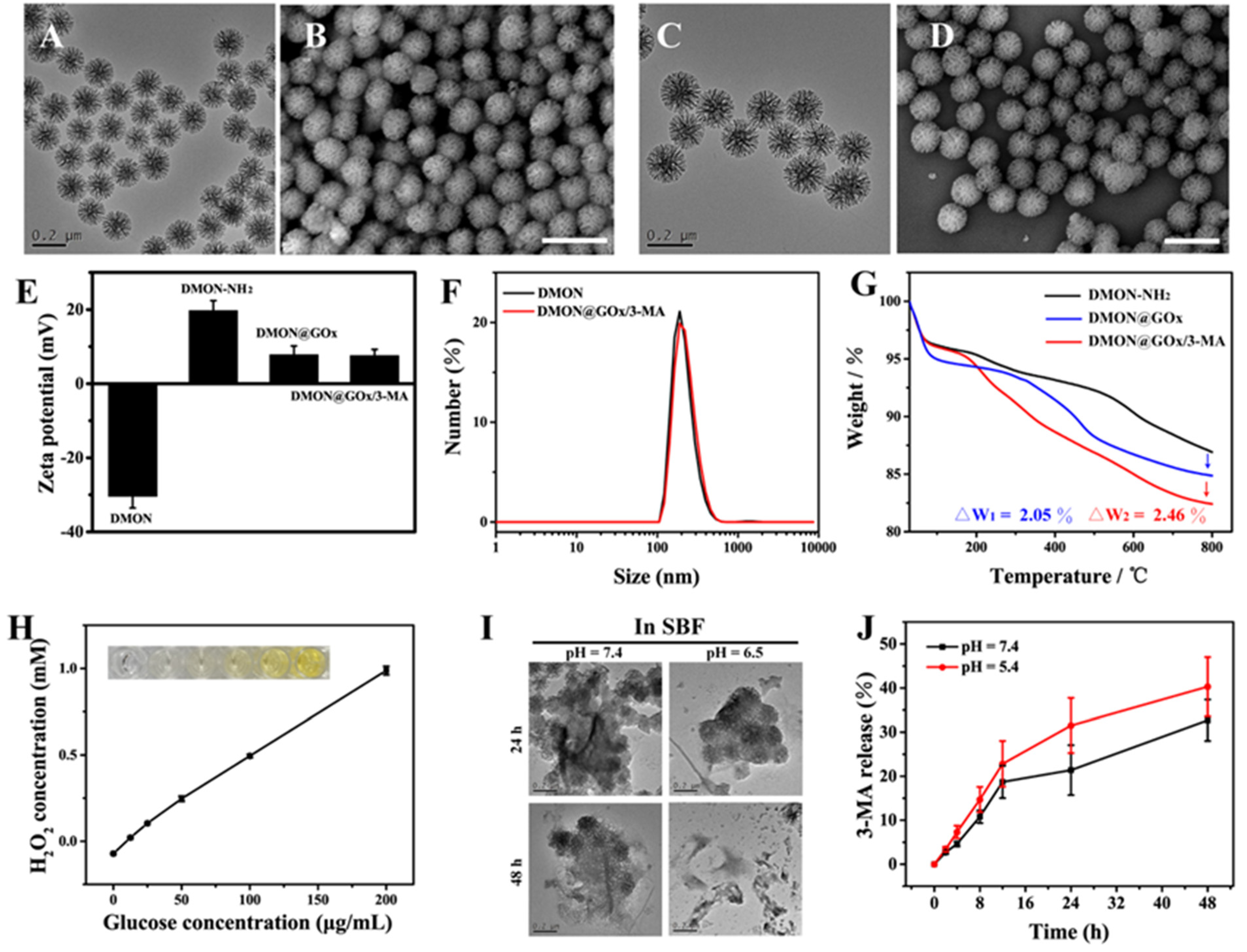 Biomolecules 11 01363 g002