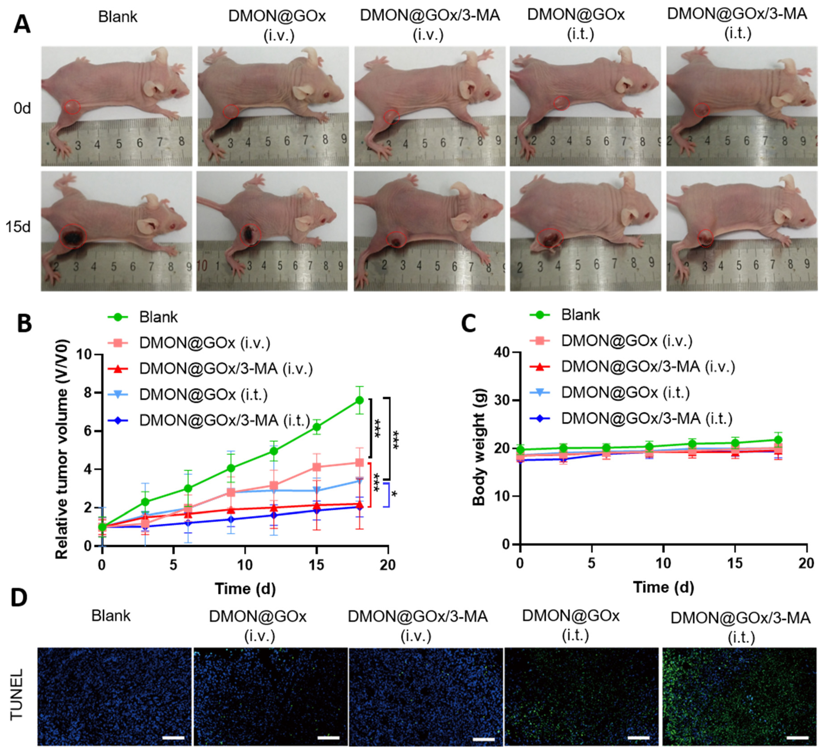 Biomolecules 11 01363 g004
