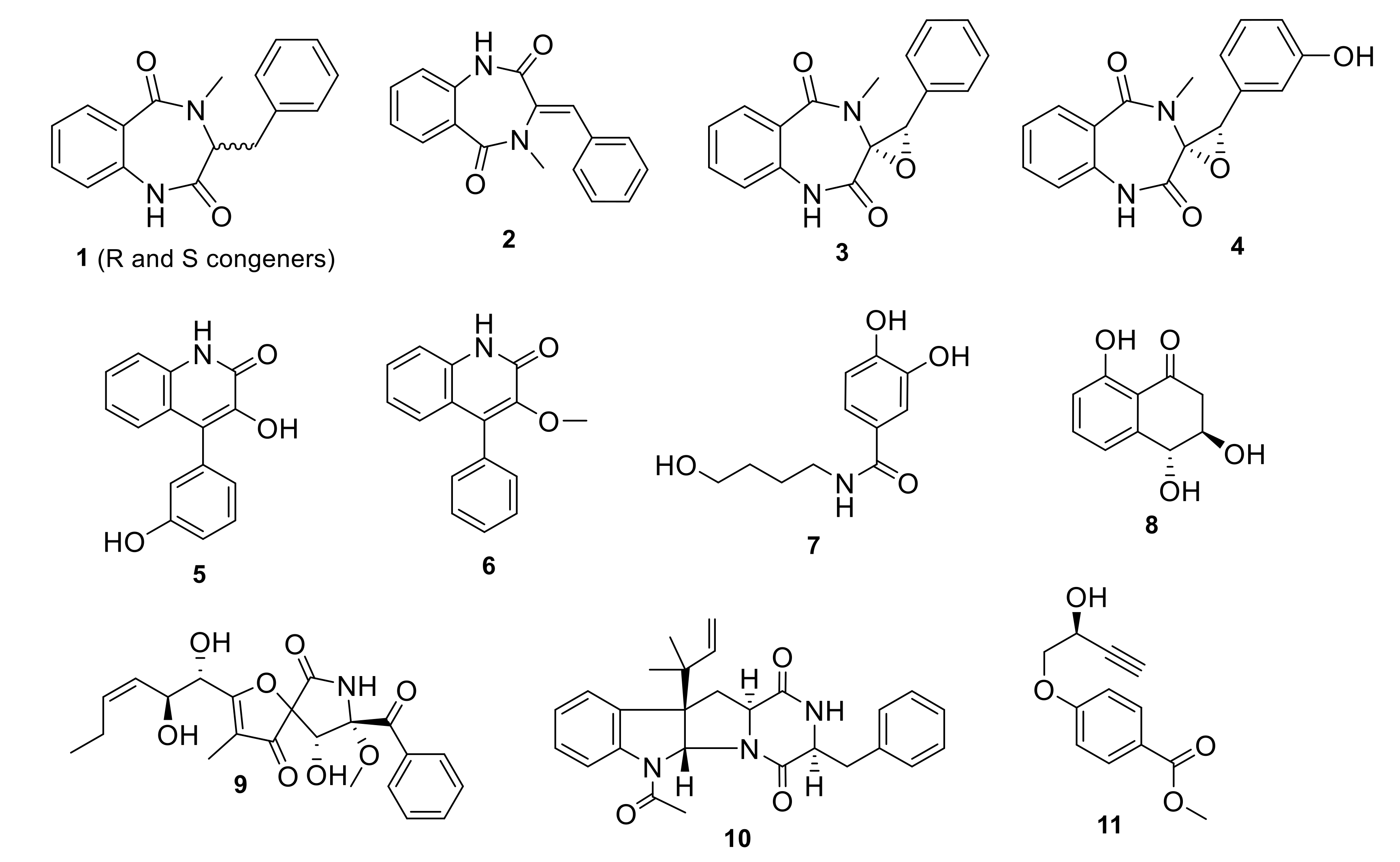 Biomolecules 11 01366 g001