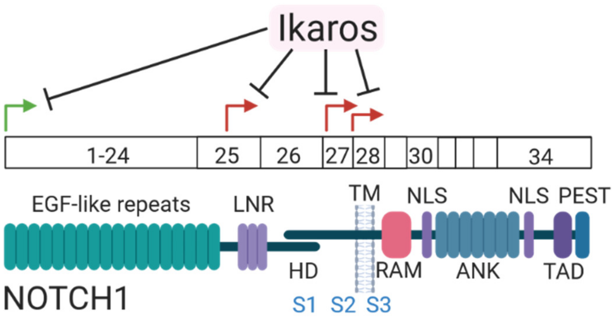Biomolecules 11 01369 g003 Biomolecules 11 01369 g003
