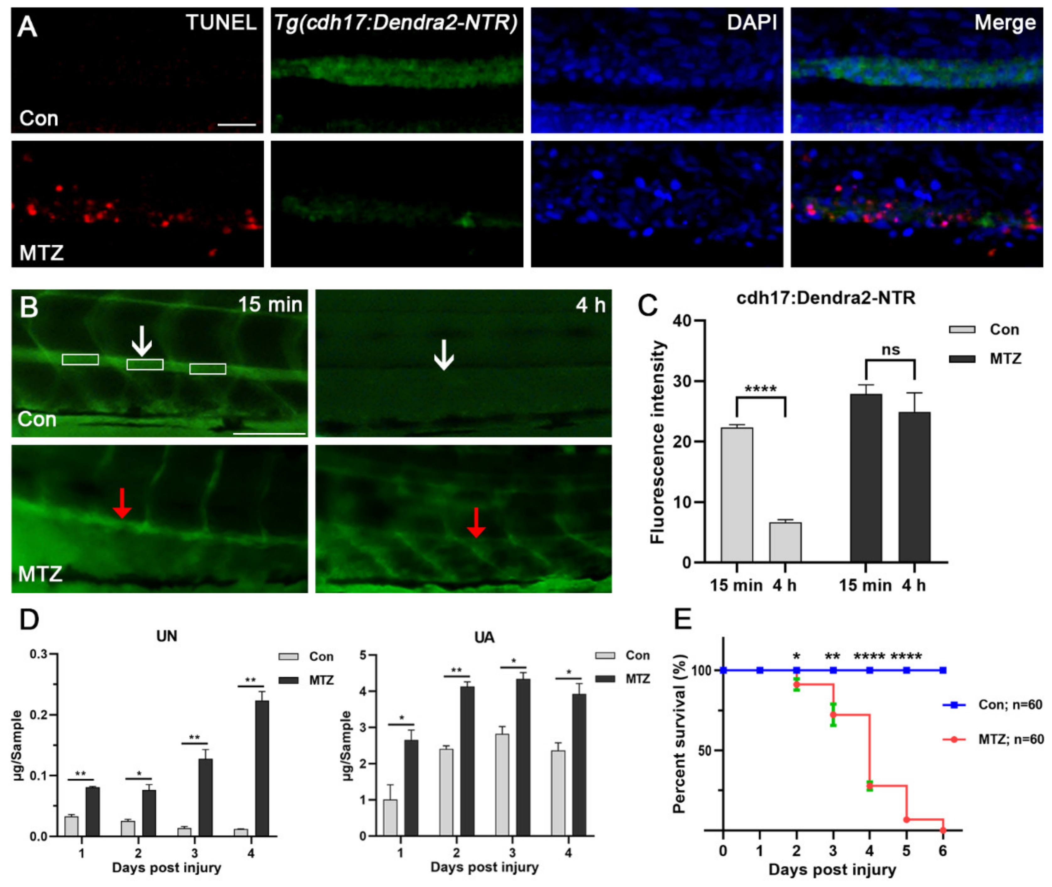 Biomolecules 11 01370 g003