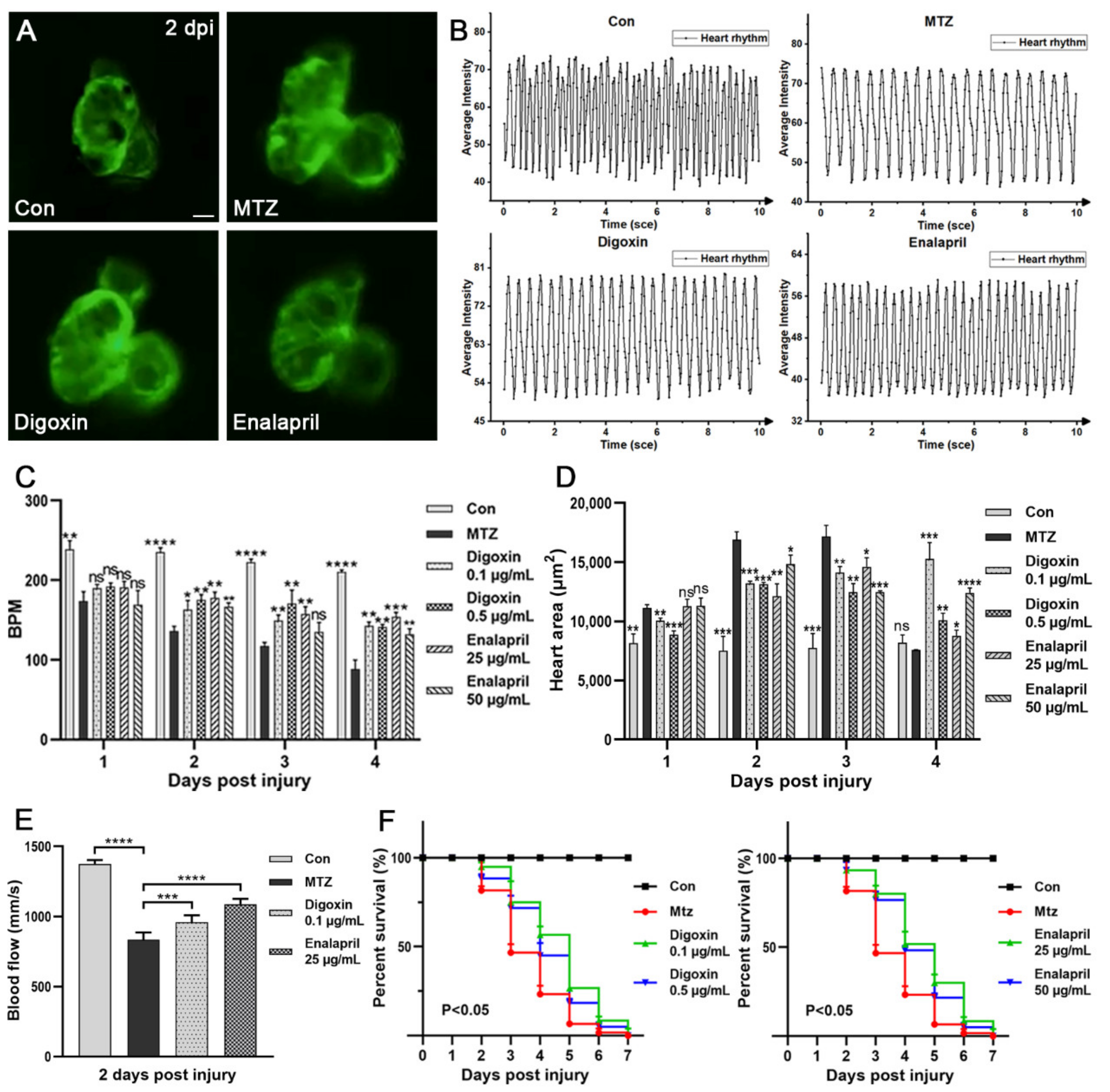 Biomolecules 11 01370 g006
