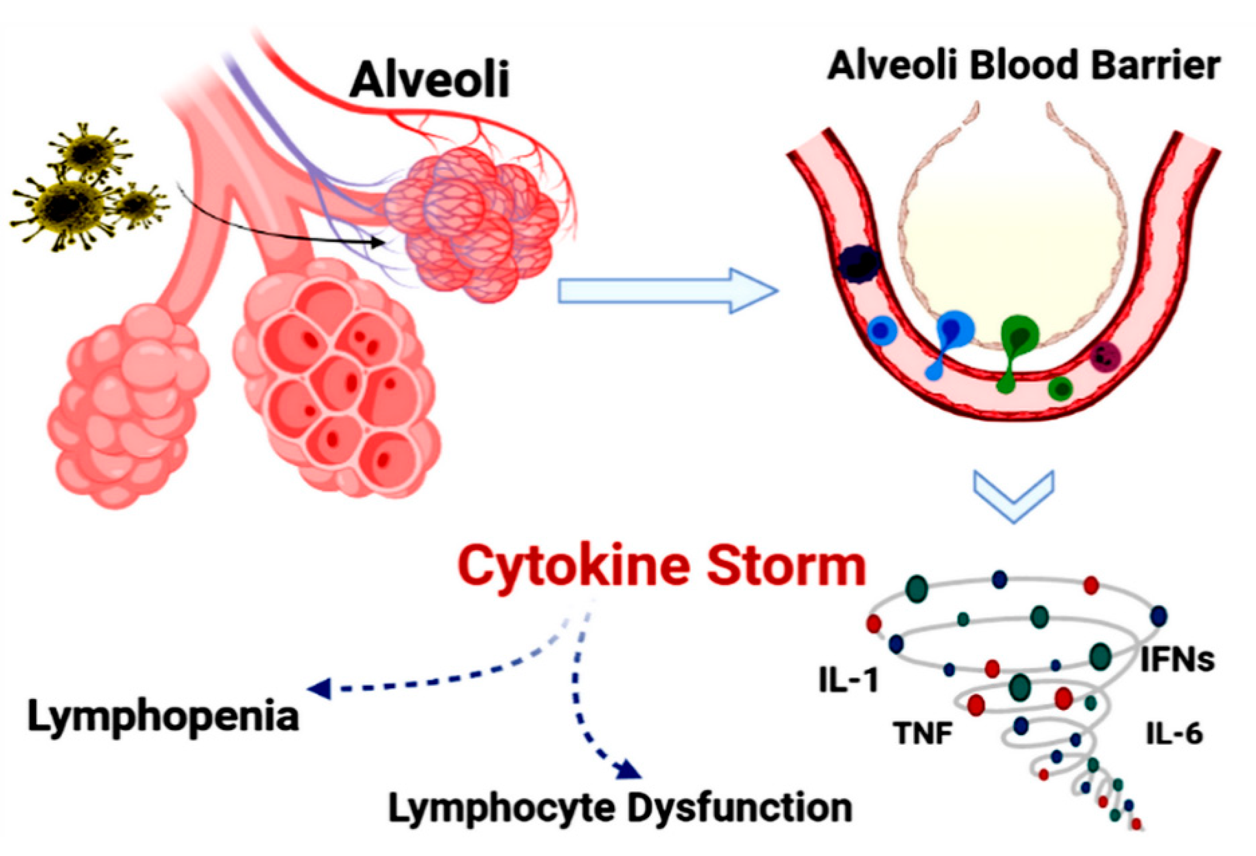Biomolecules 11 01372 g003