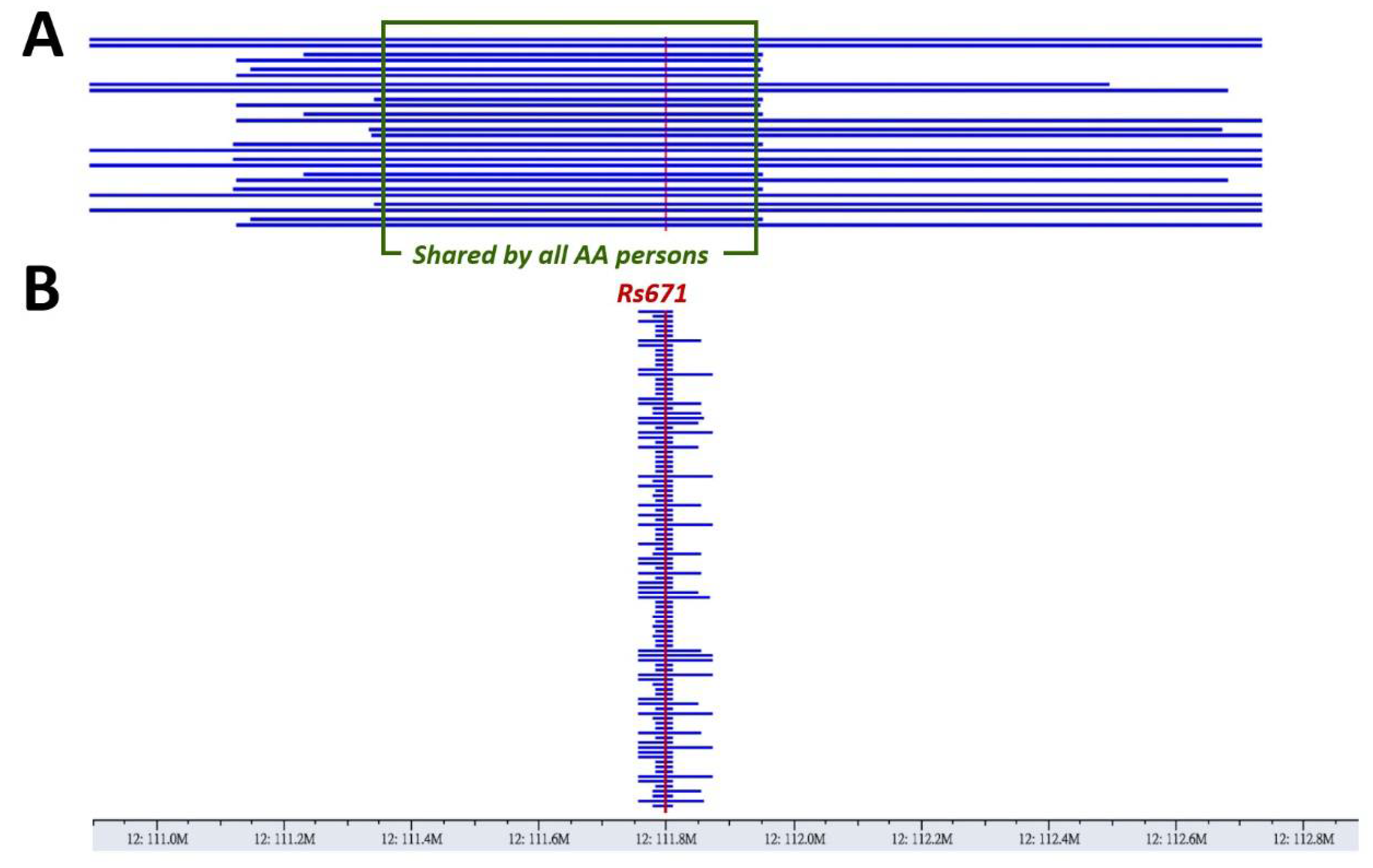 Biomolecules 11 01376 g002 Biomolecules 11 01376 g002