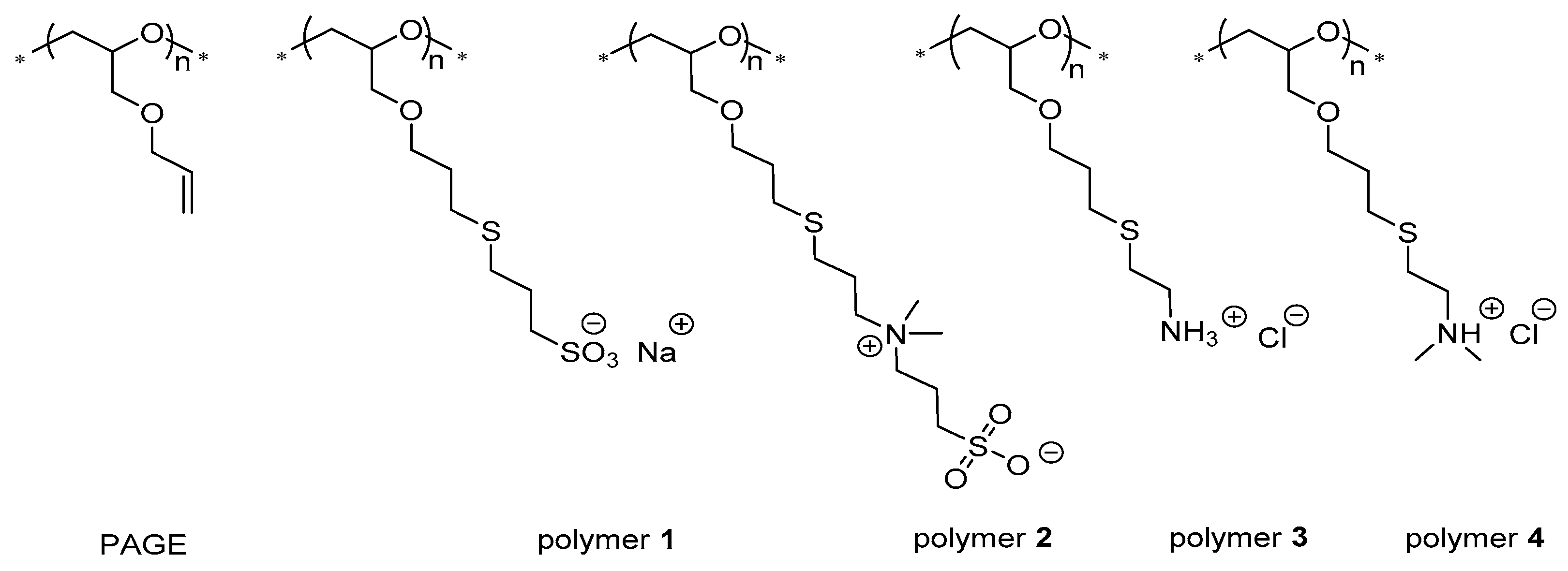 Biomolecules 11 01377 g001