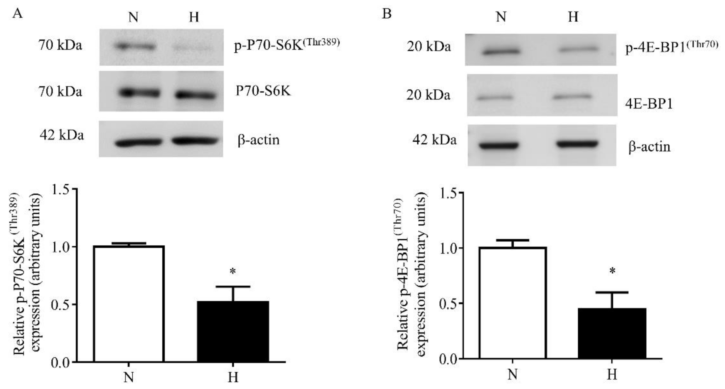 Biomolecules 11 01382 g002 Biomolecules 11 01382 g002