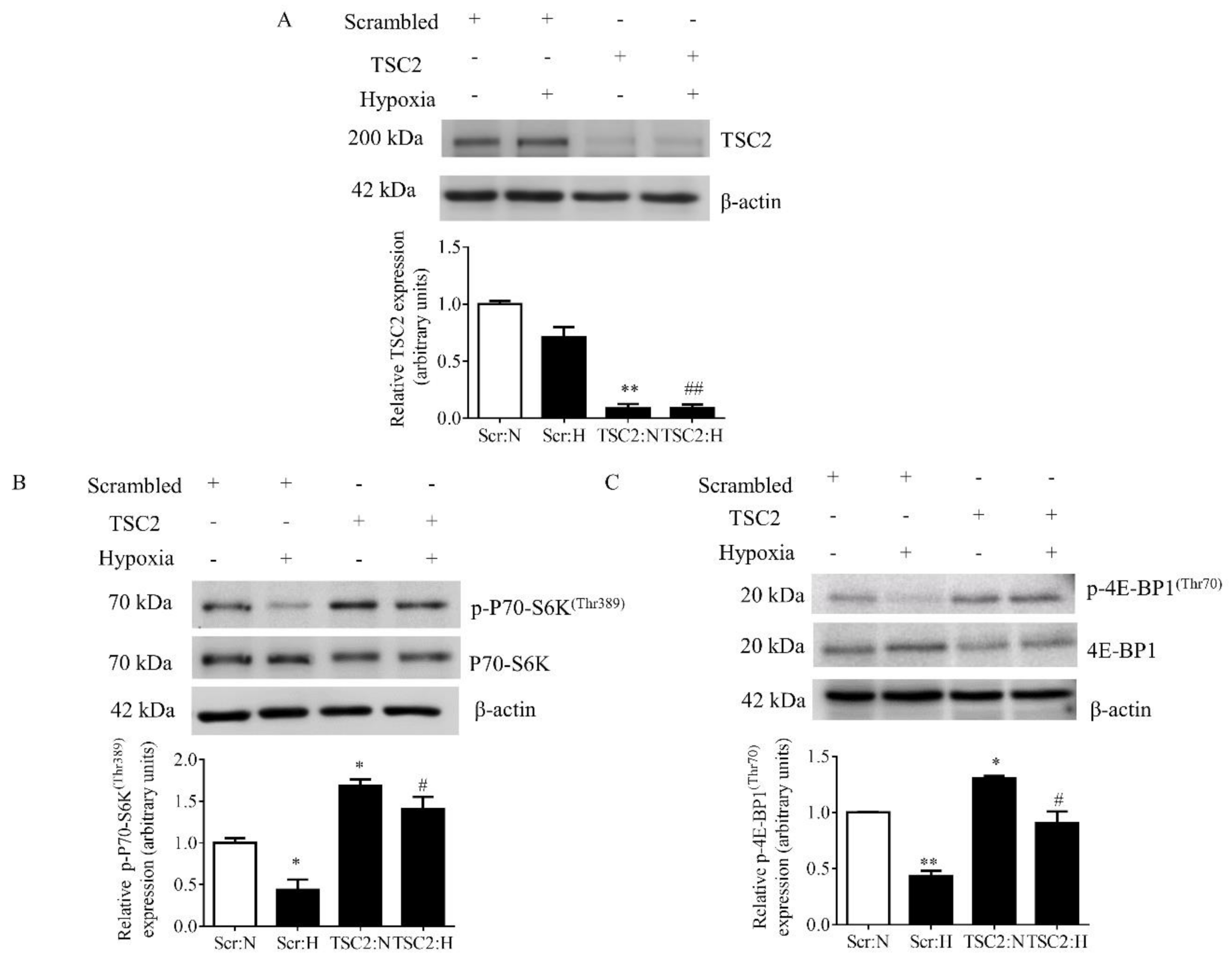 Biomolecules 11 01382 g006 Biomolecules 11 01382 g006
