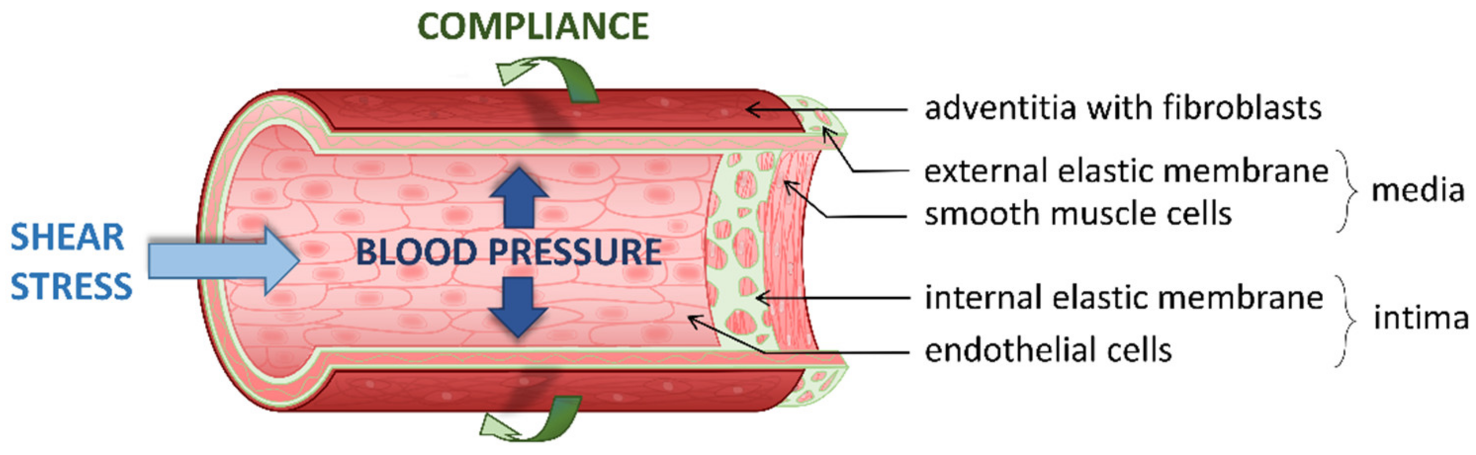 Biomolecules 11 01389 g001 Biomolecules 11 01389 g001