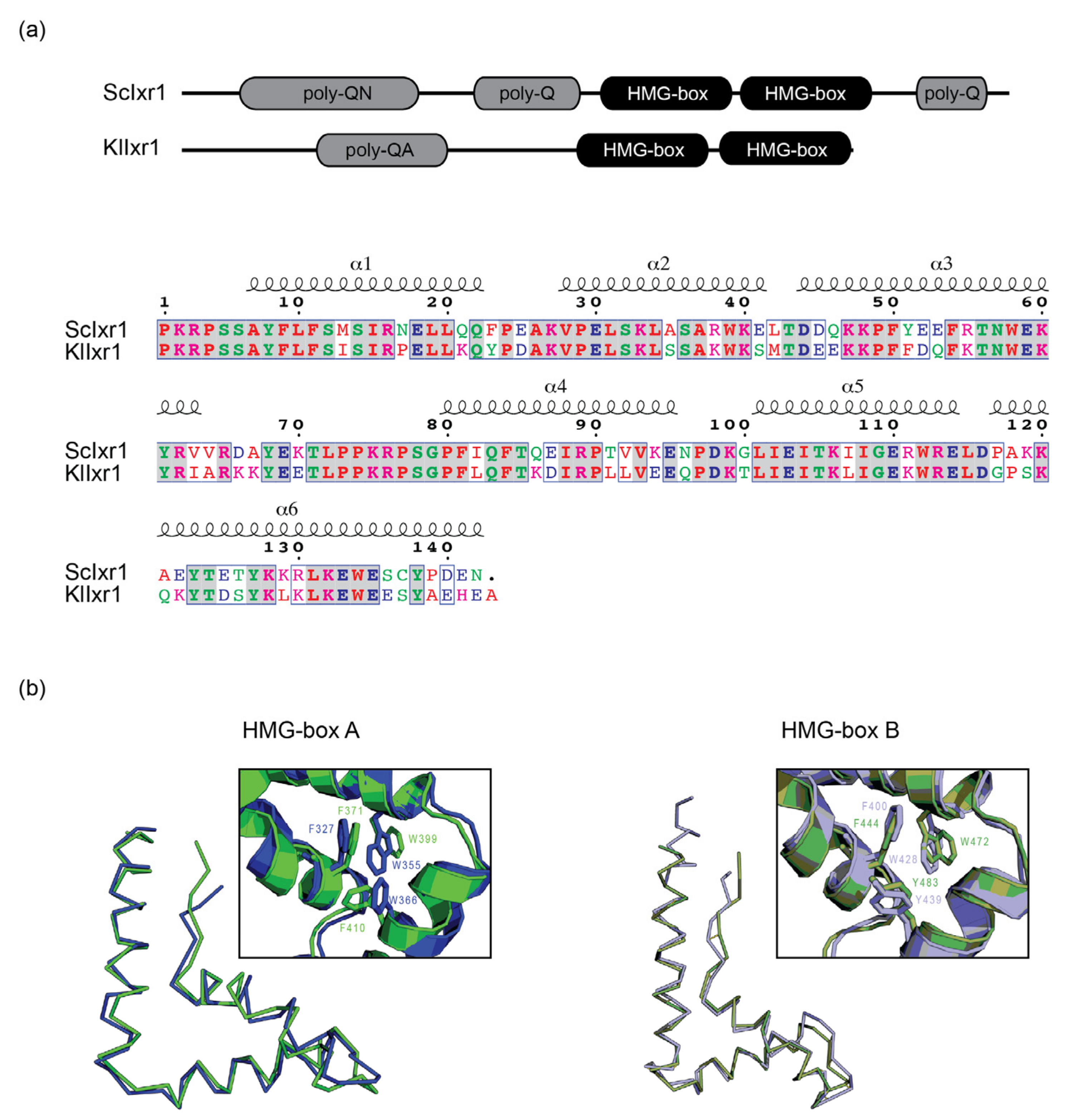 Biomolecules 11 01392 g001 Biomolecules 11 01392 g001