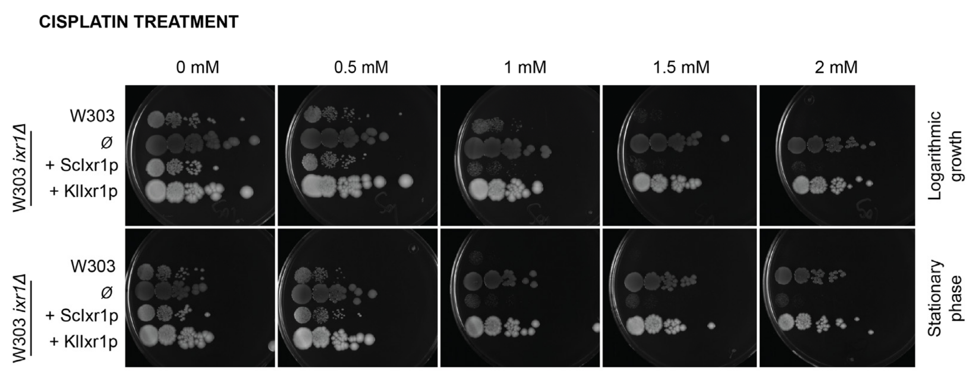 Biomolecules 11 01392 g002 Biomolecules 11 01392 g002