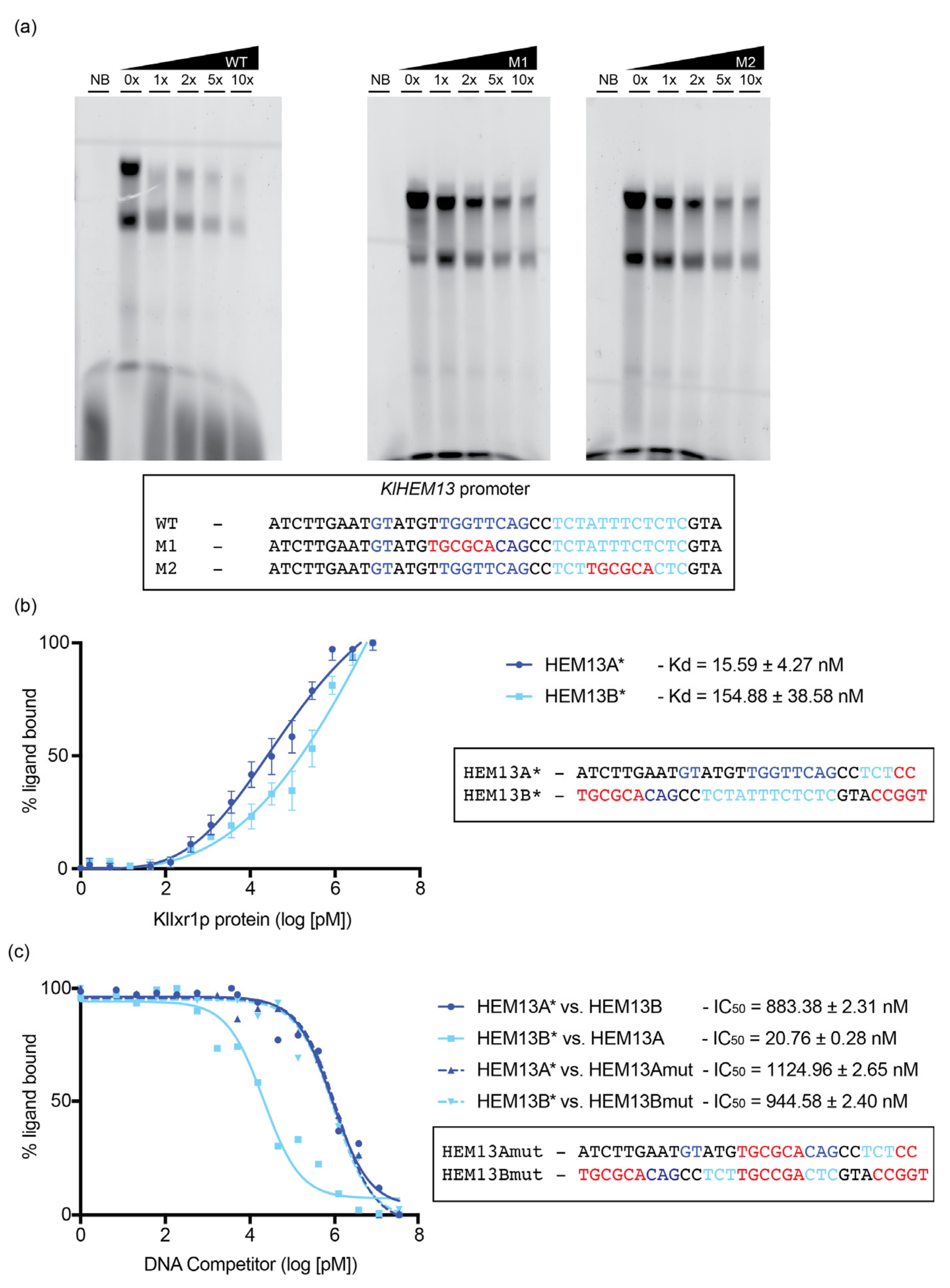 Biomolecules 11 01392 g005 Biomolecules 11 01392 g005