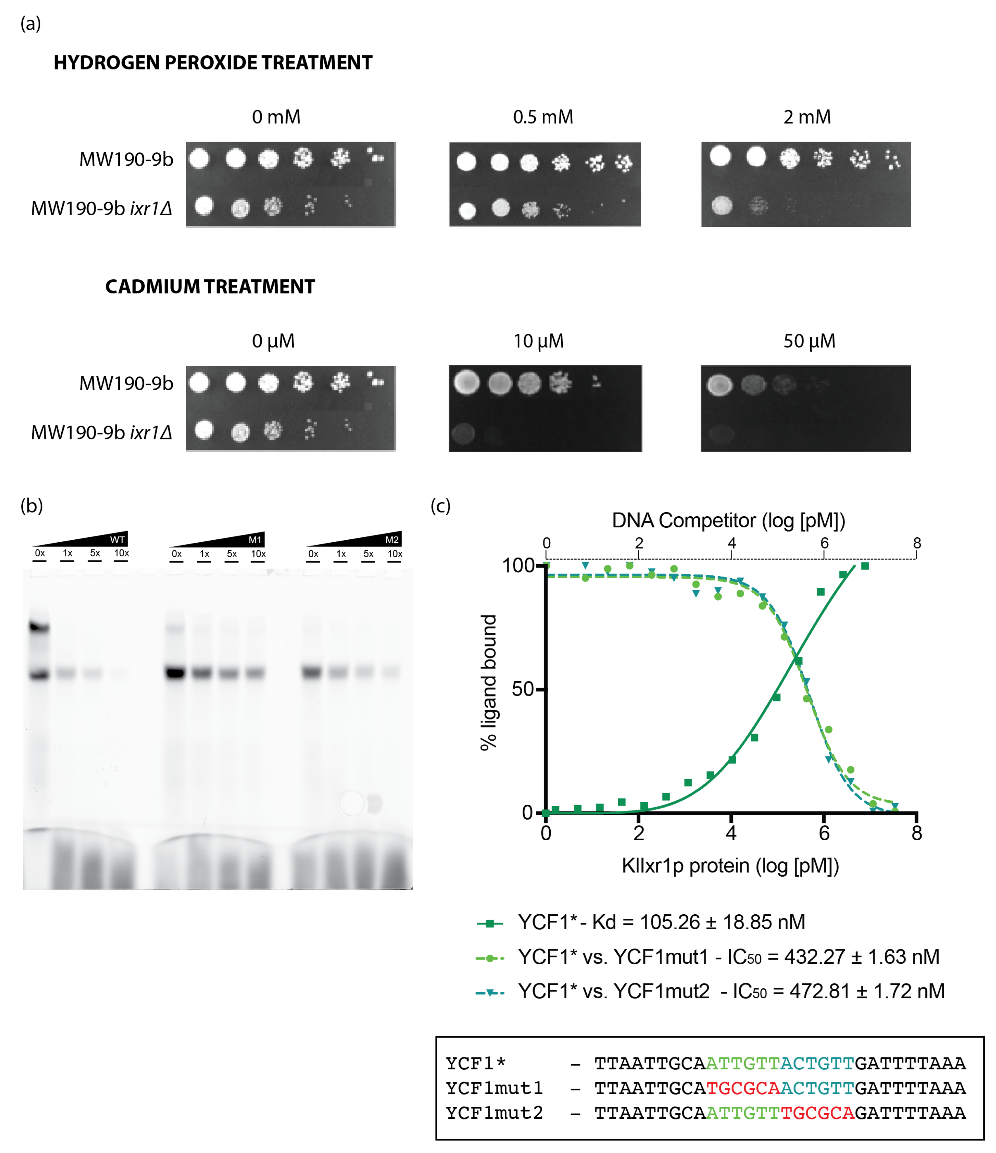 Biomolecules 11 01392 g006 Biomolecules 11 01392 g006