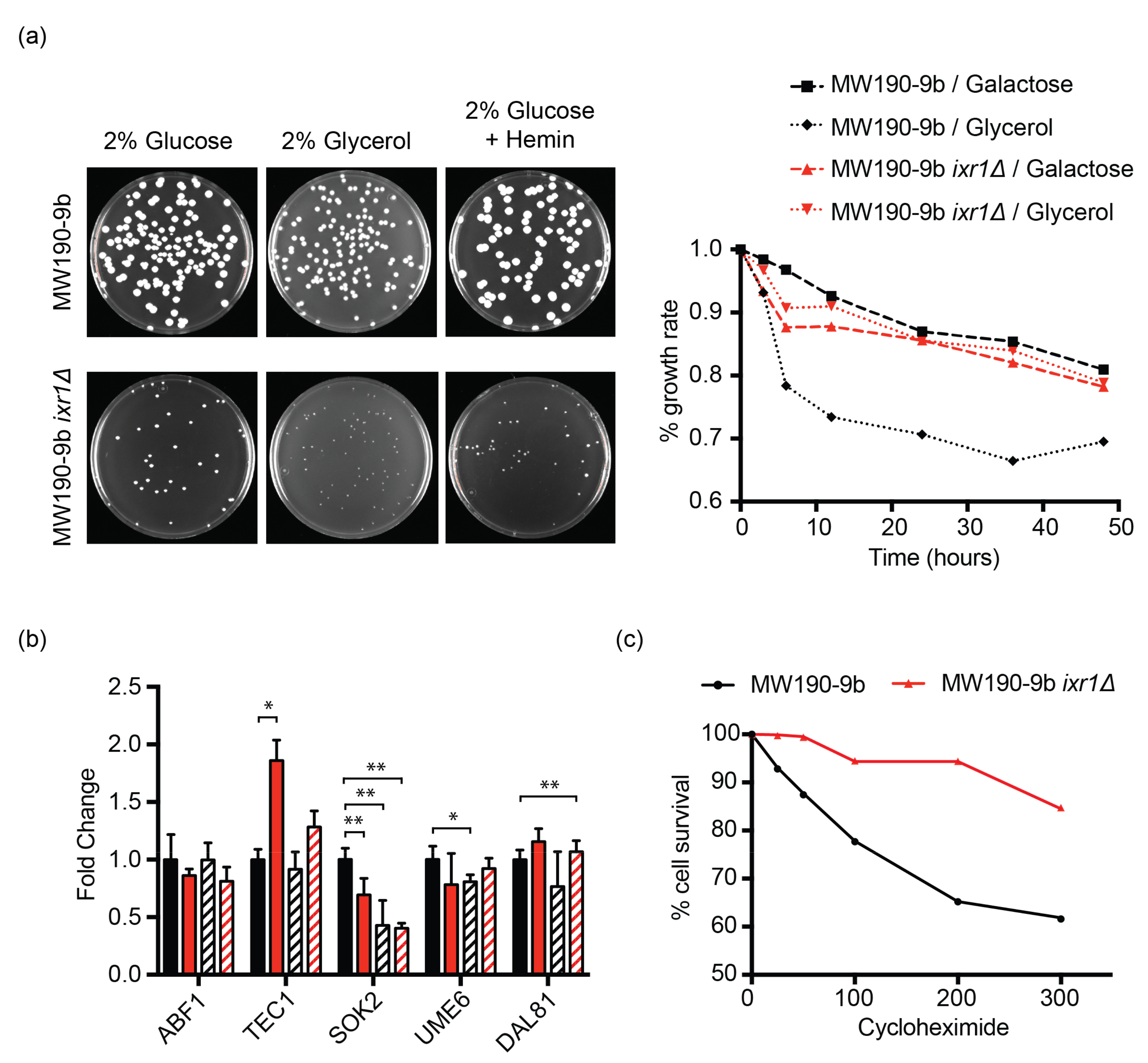 Biomolecules 11 01392 g007 Biomolecules 11 01392 g007