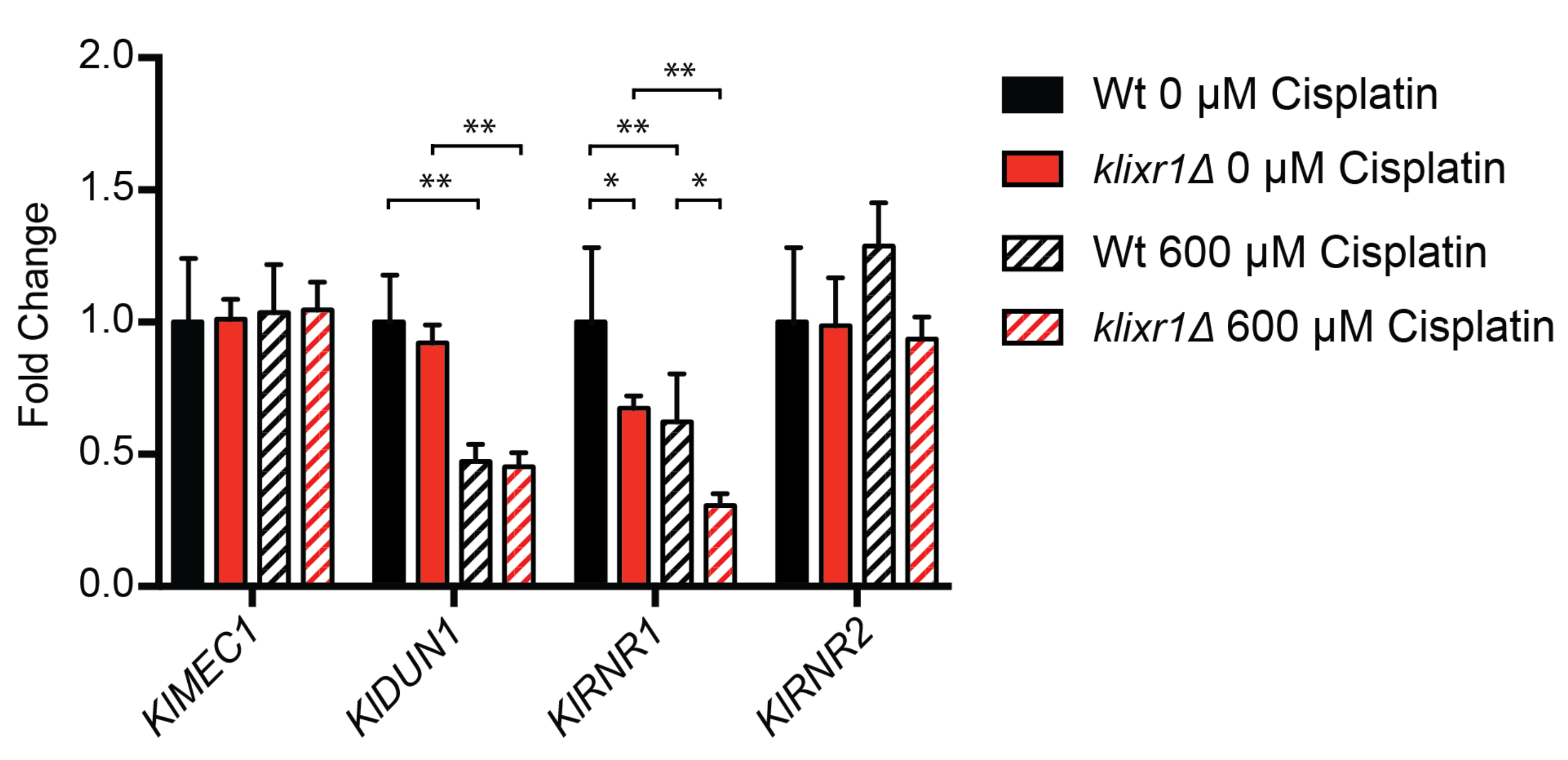 Biomolecules 11 01392 g008 Biomolecules 11 01392 g008