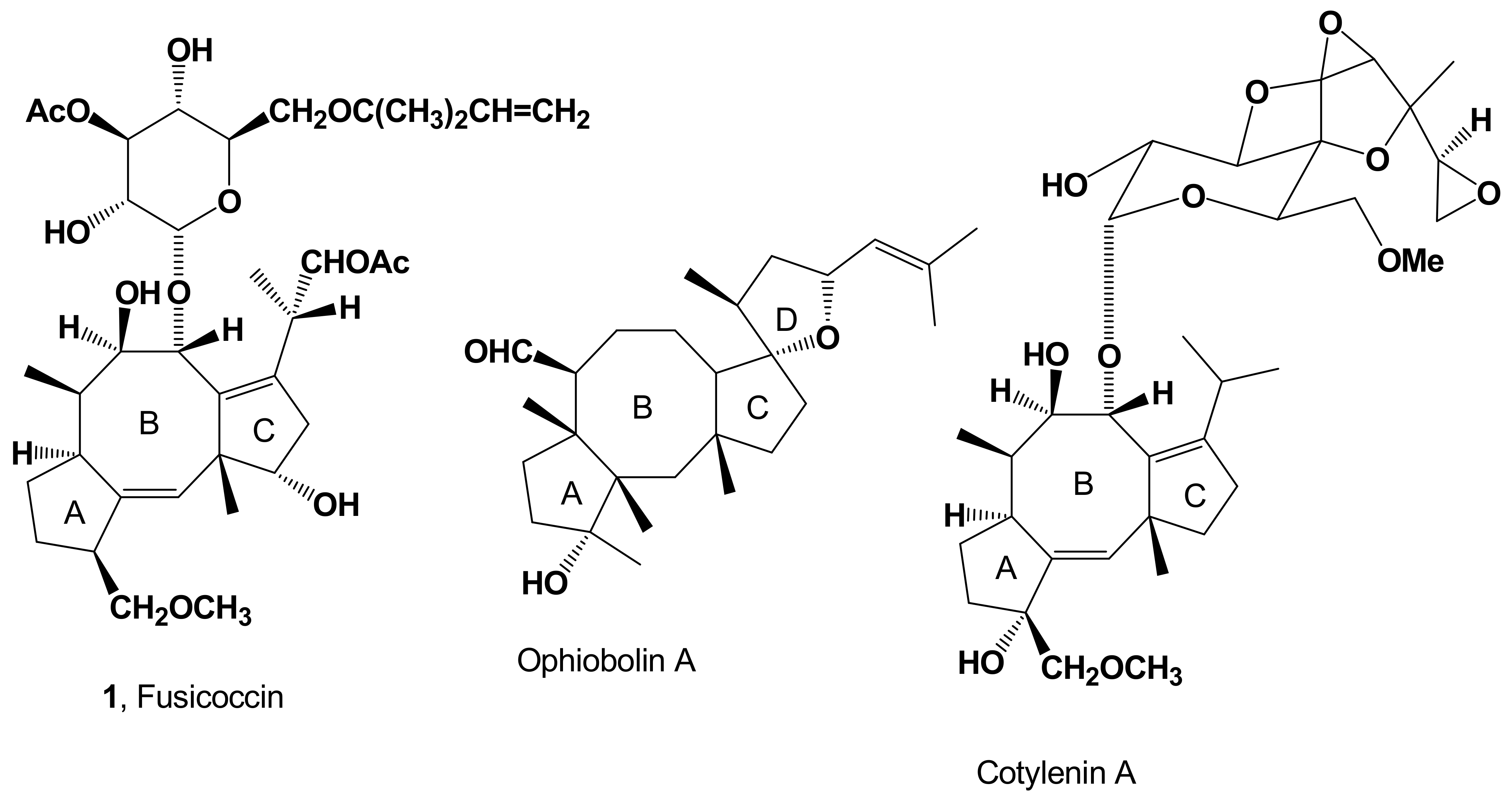Biomolecules 11 01393 g001