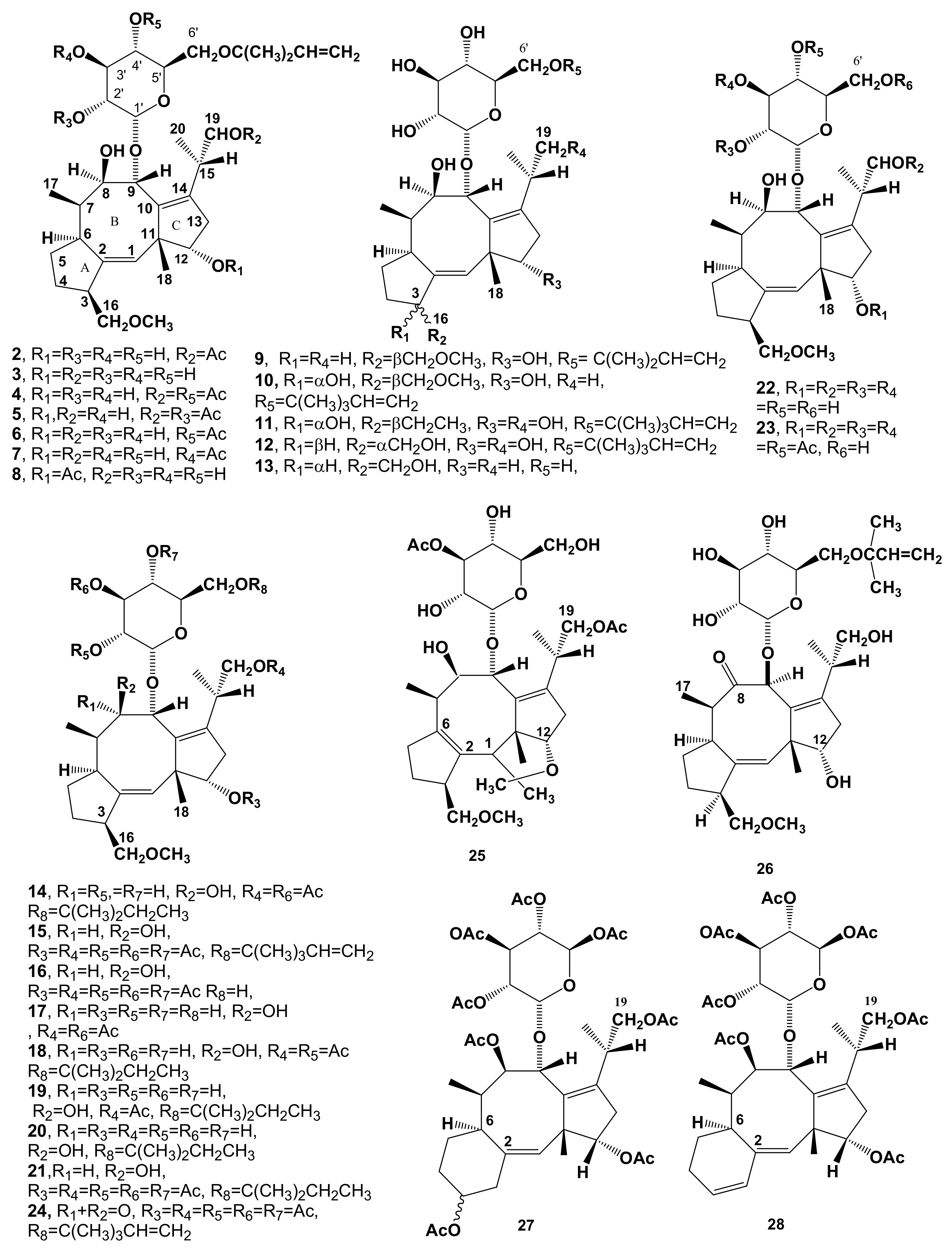 Biomolecules 11 01393 g002