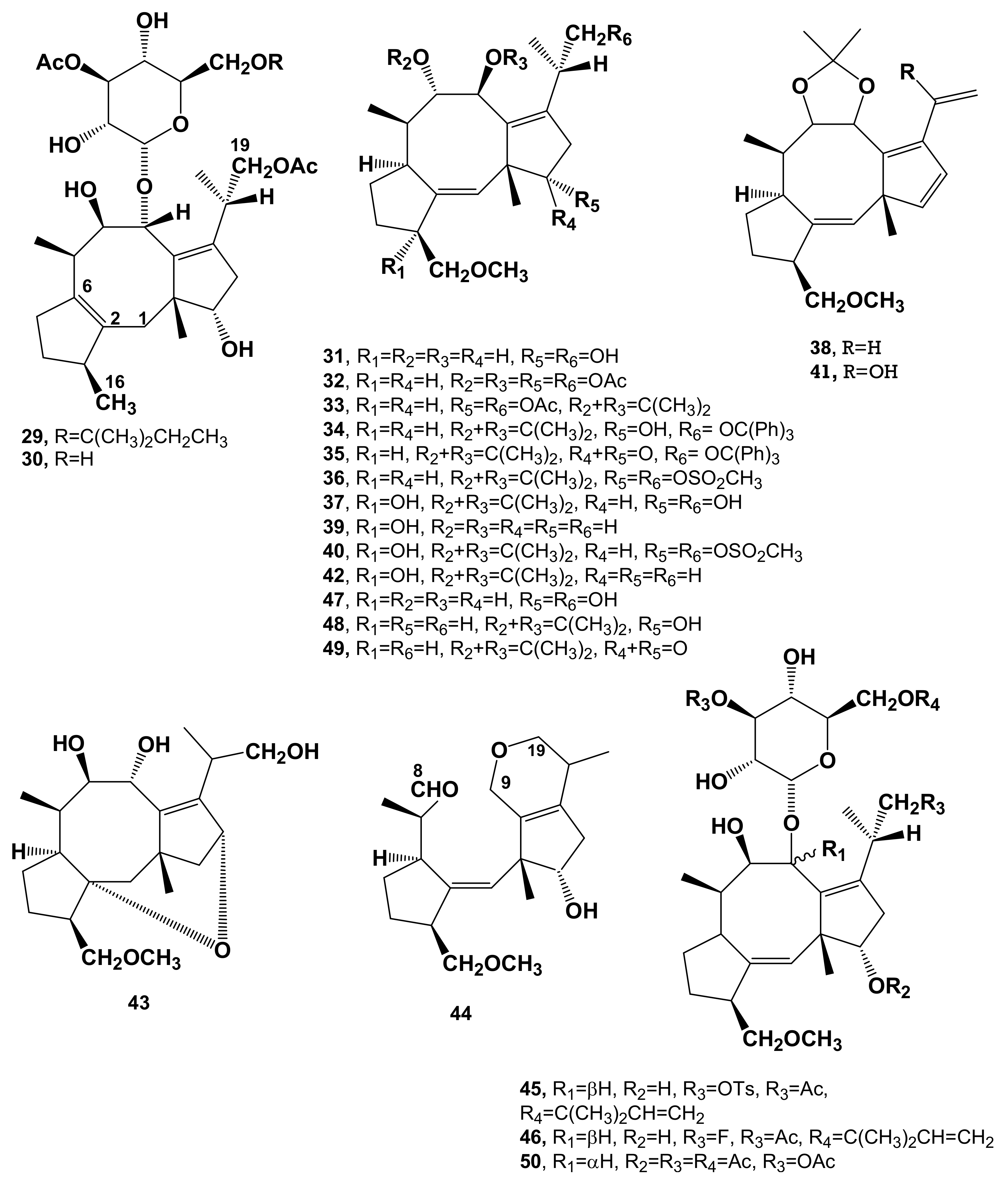 Biomolecules Free Full Text The Surprising Story Of Fusicoccin A Wilt Inducing Phytotoxin A Tool In Plant Physiology And A 14 3 3 Targeted Drug Html
