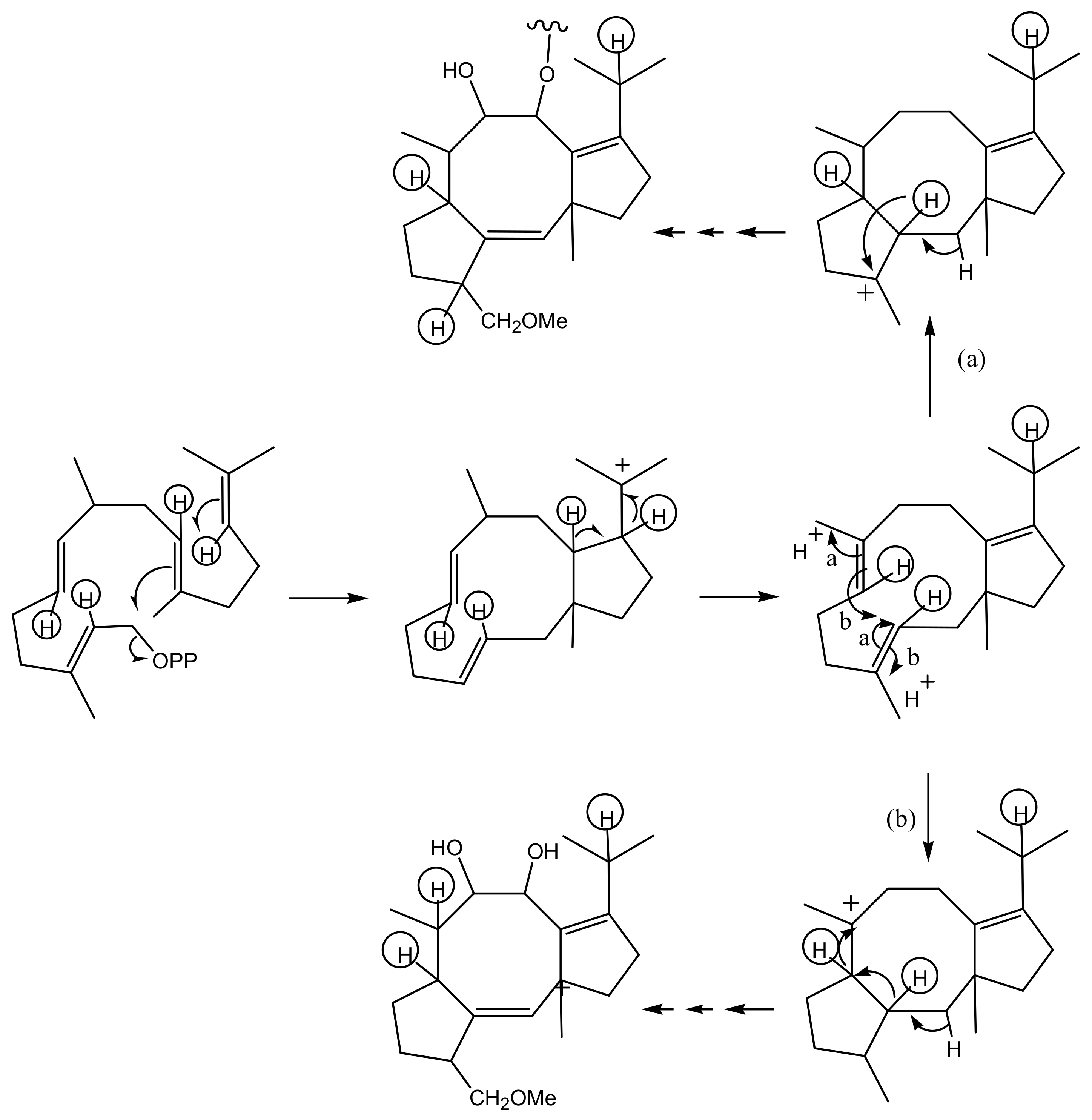 Biomolecules 11 01393 g005
