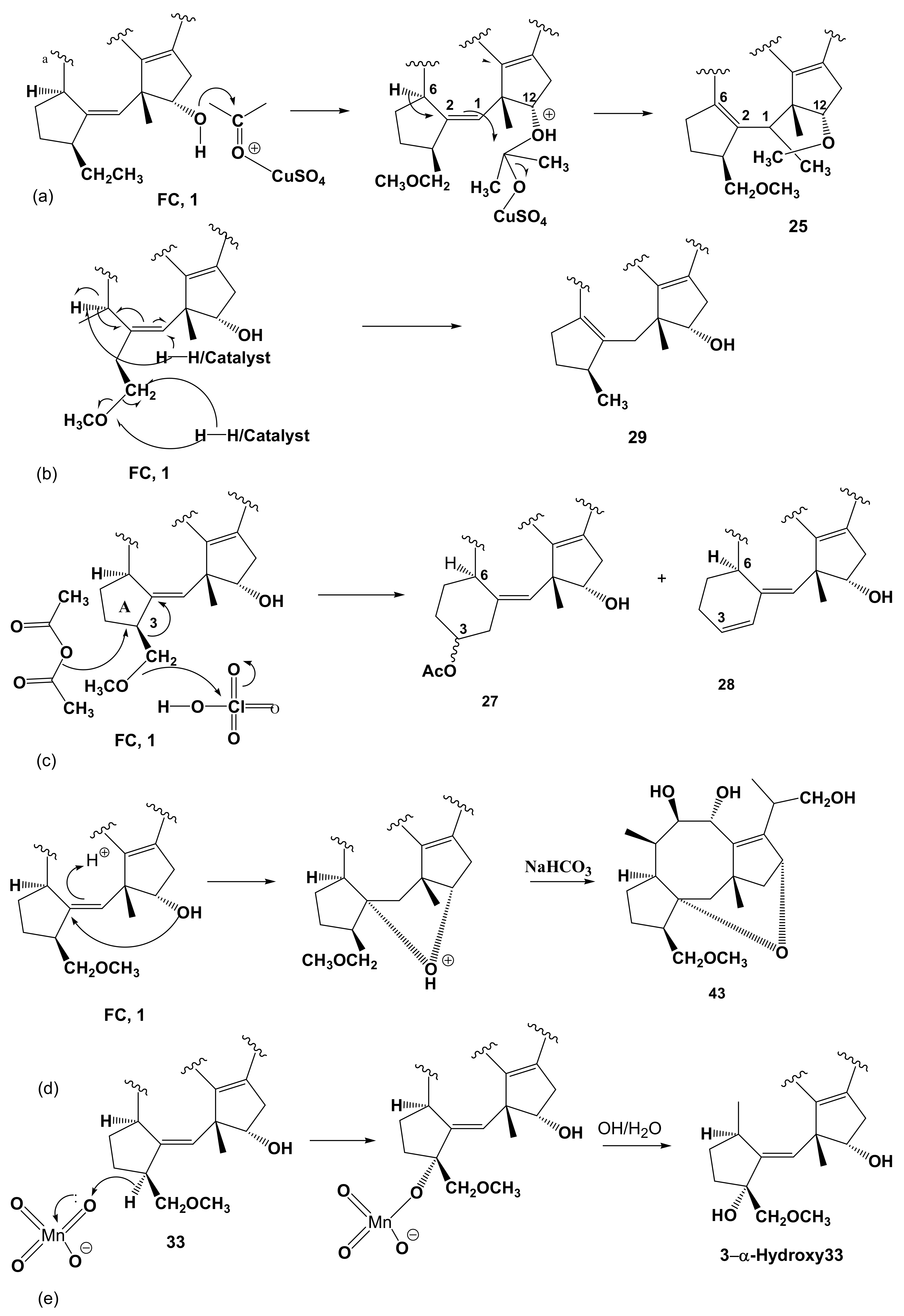 Biomolecules 11 01393 g008