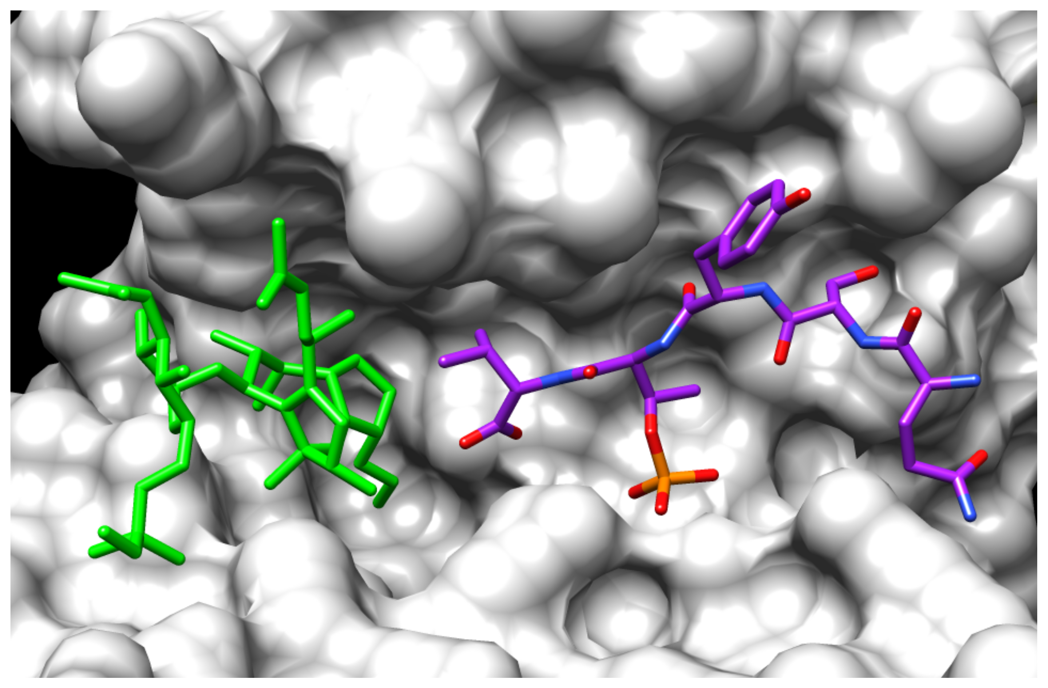 Biomolecules 11 01393 g010