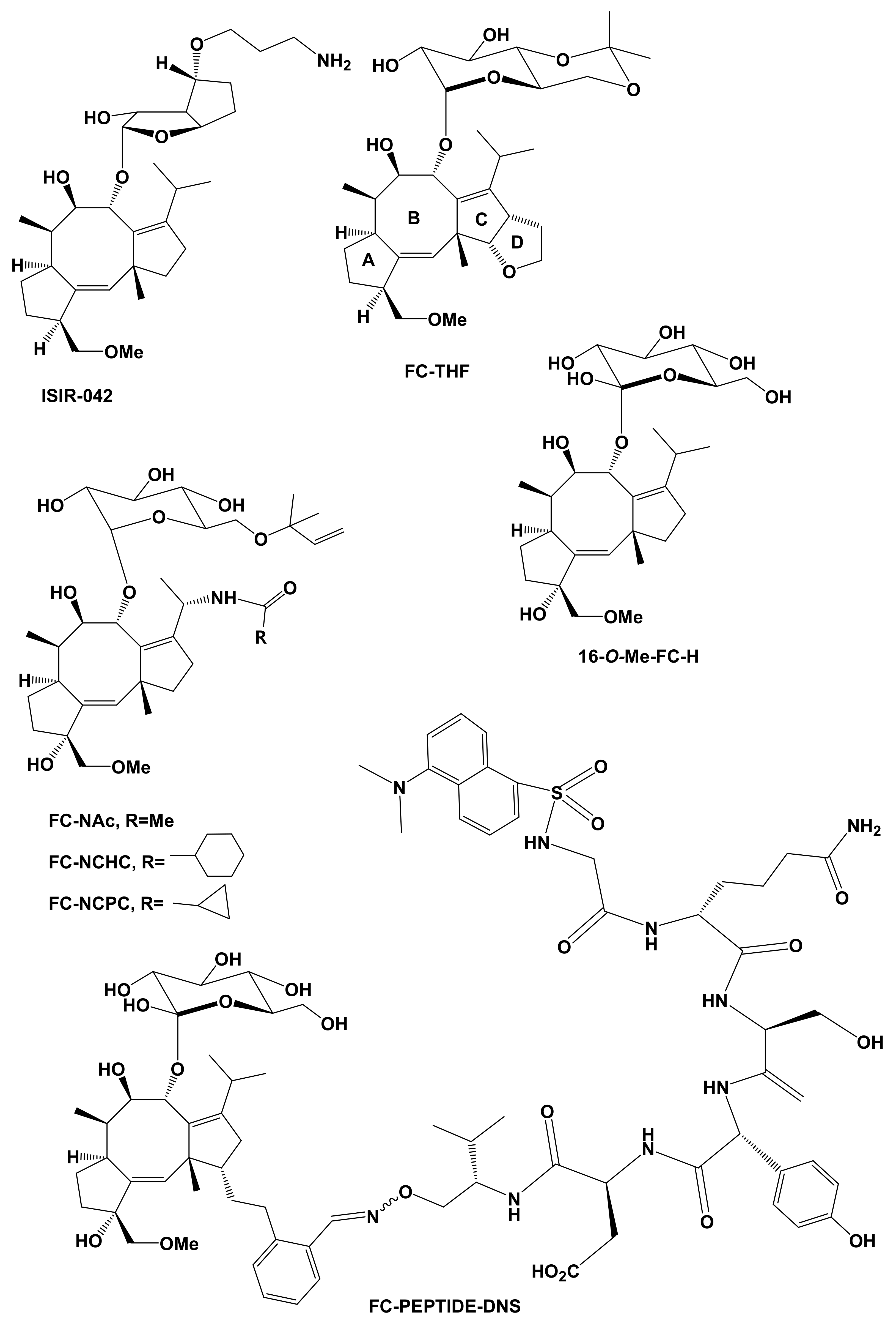 Biomolecules 11 01393 g011