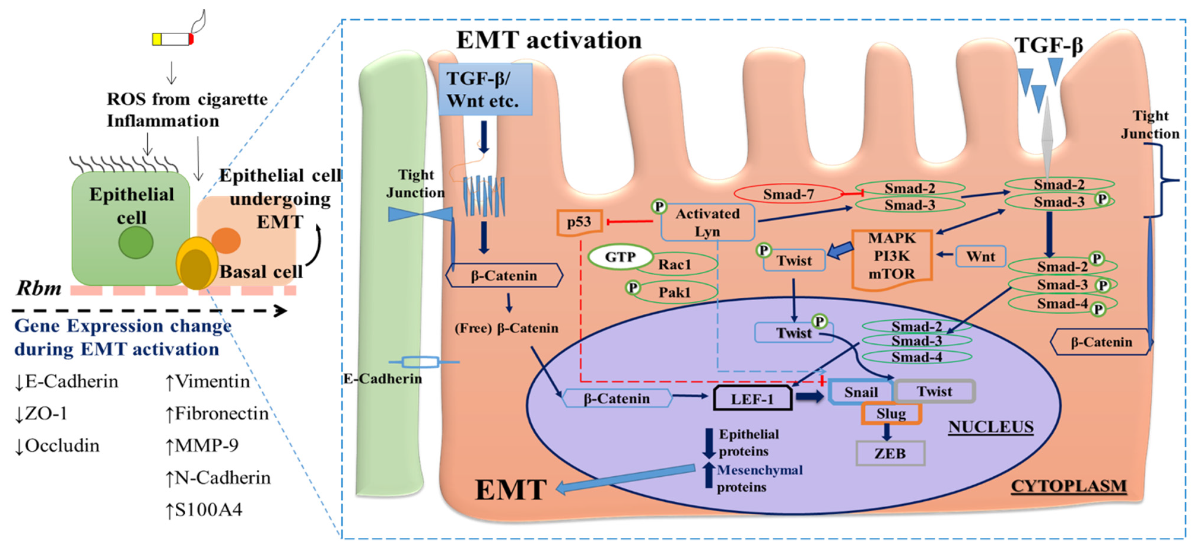 Biomolecules 11 01394 g001 Biomolecules 11 01394 g001