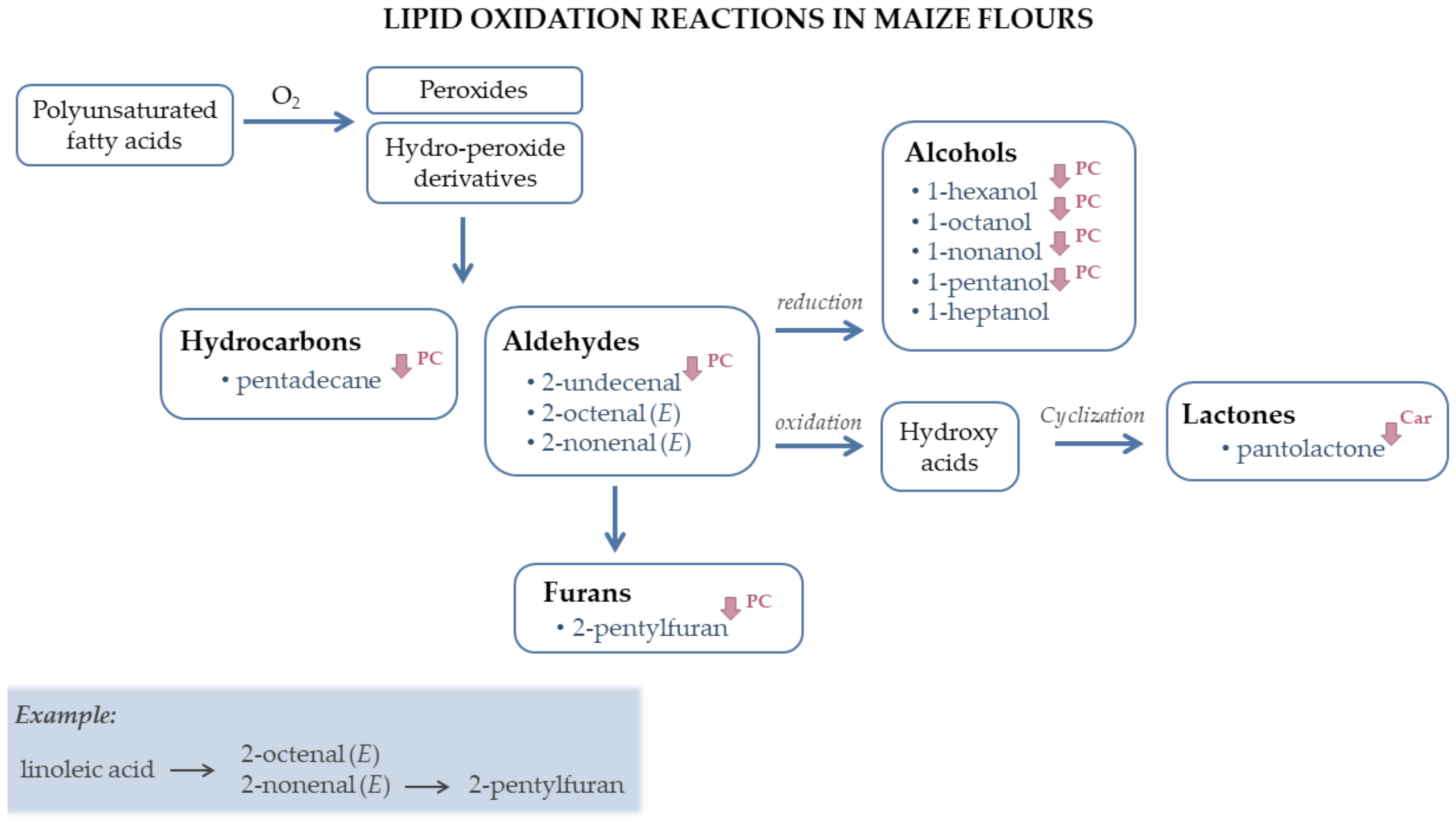 Biomolecules 11 01396 g002 Biomolecules 11 01396 g002