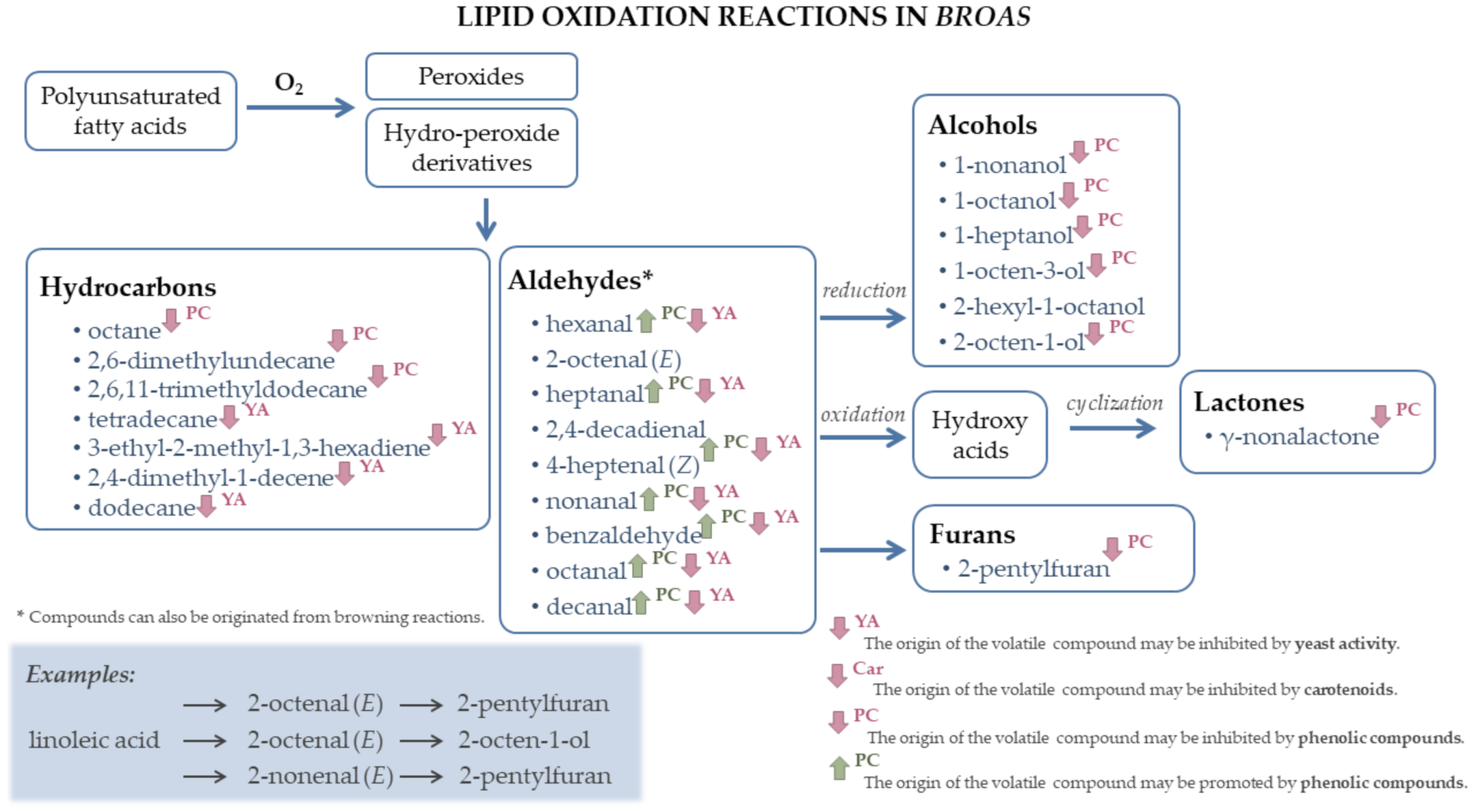 Biomolecules Free FullText Shedding Light on the Volatile