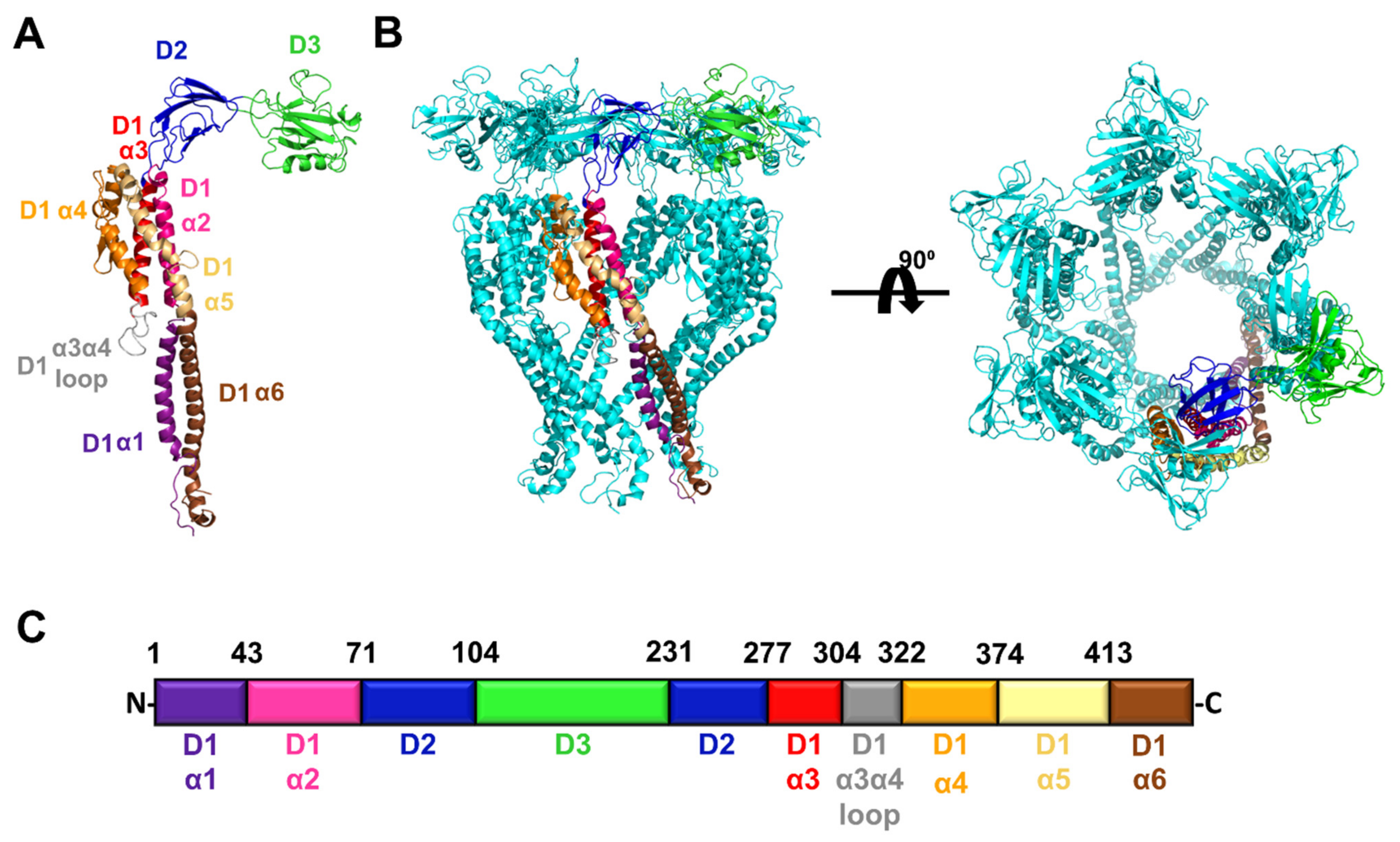 Biomolecules 11 01397 g001