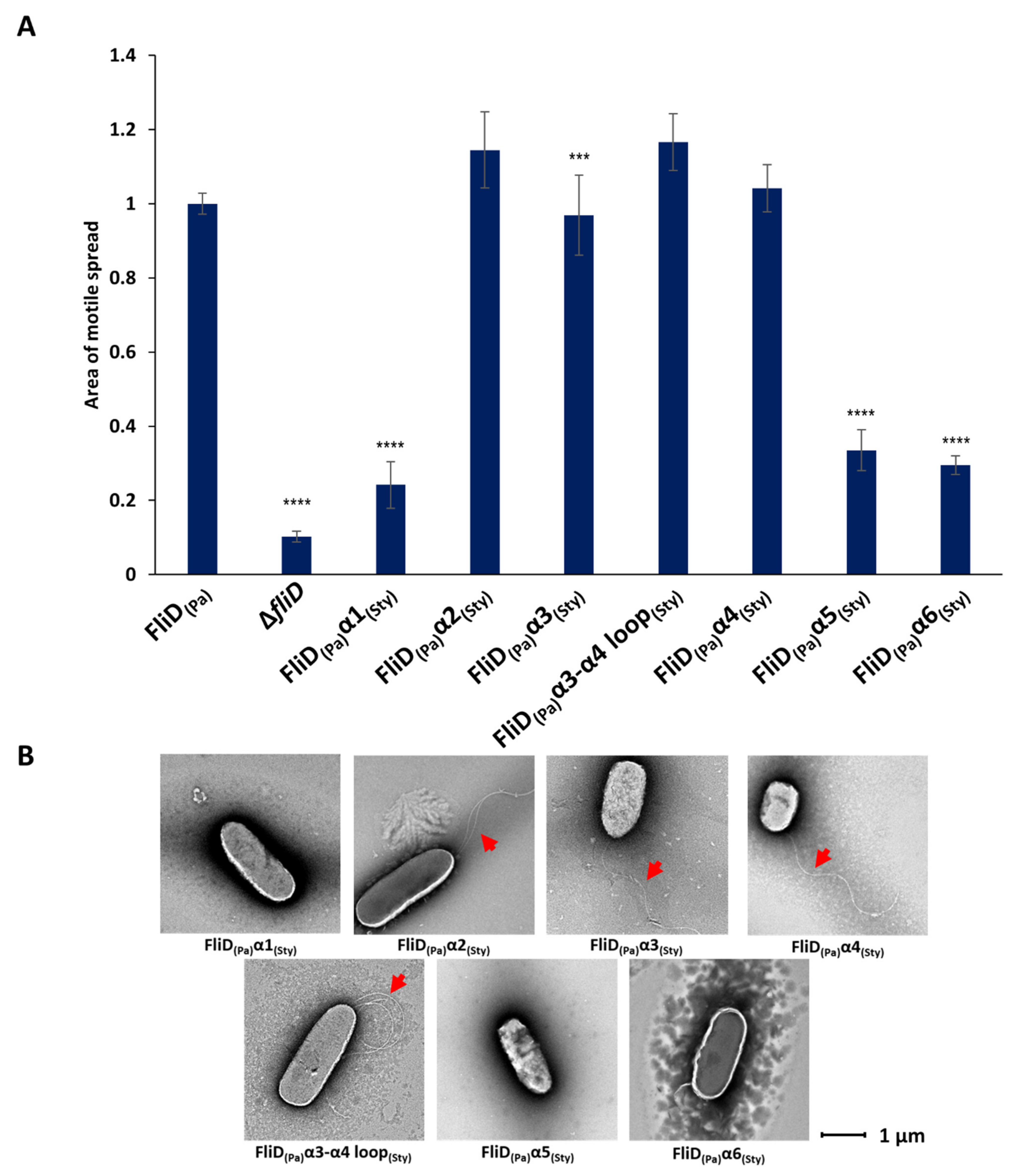 Biomolecules 11 01397 g003