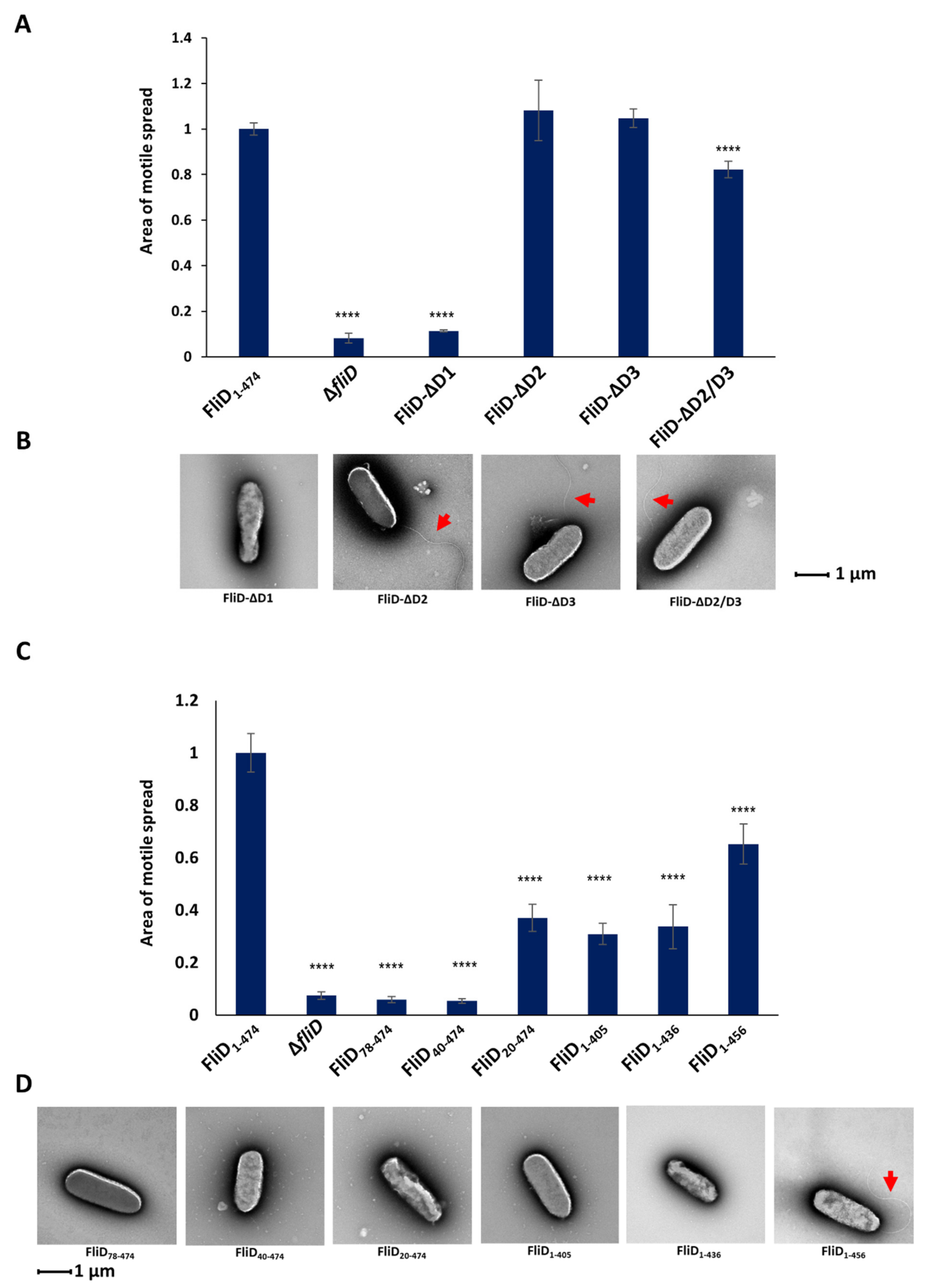 Biomolecules 11 01397 g004